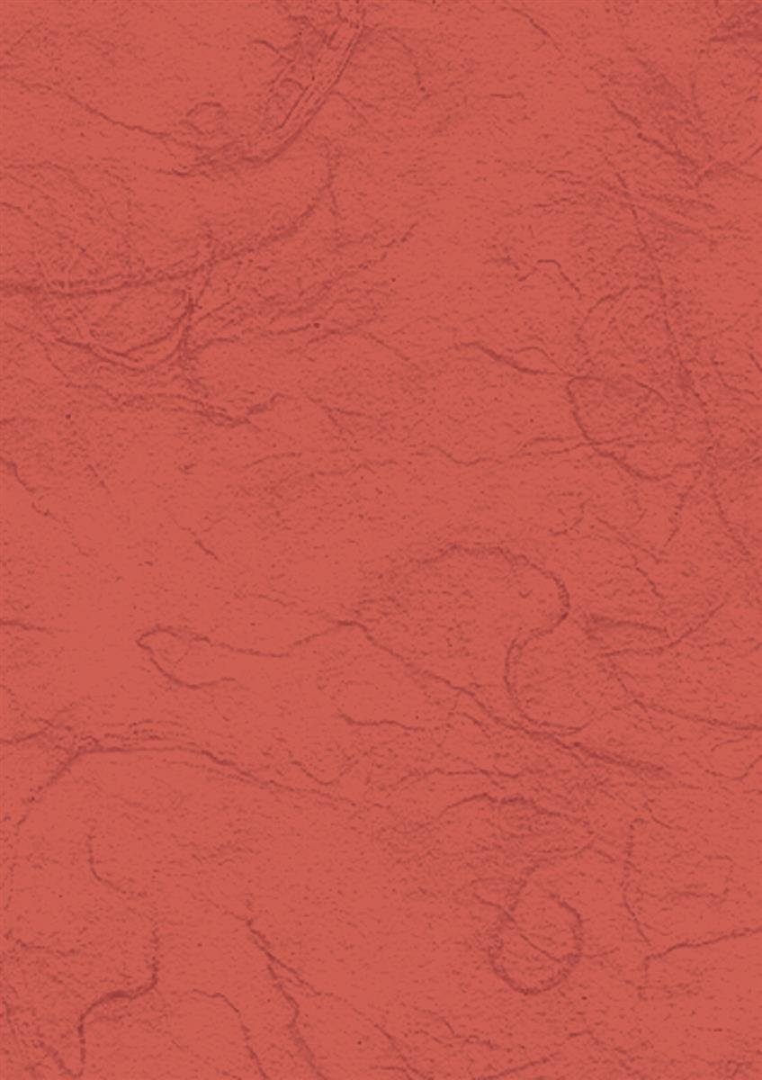 Seidenpapier Heyda 204718548 Strohseide 50 x 70 cm terracotta