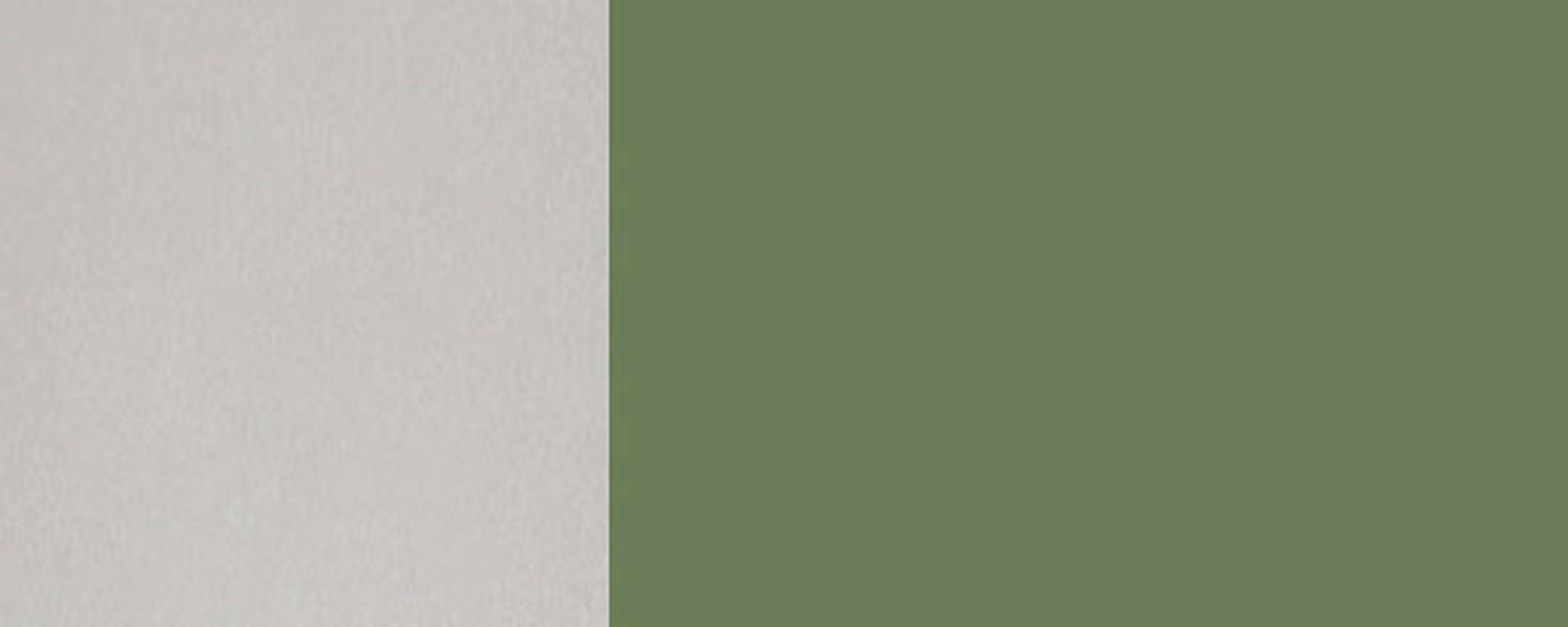 Feldmann-Wohnen Klapphängeschrank Tivoli (Tivoli) 80cm Korpusfarbe wählbar Front- und resedagrün 6011 RAL 2-türig matt