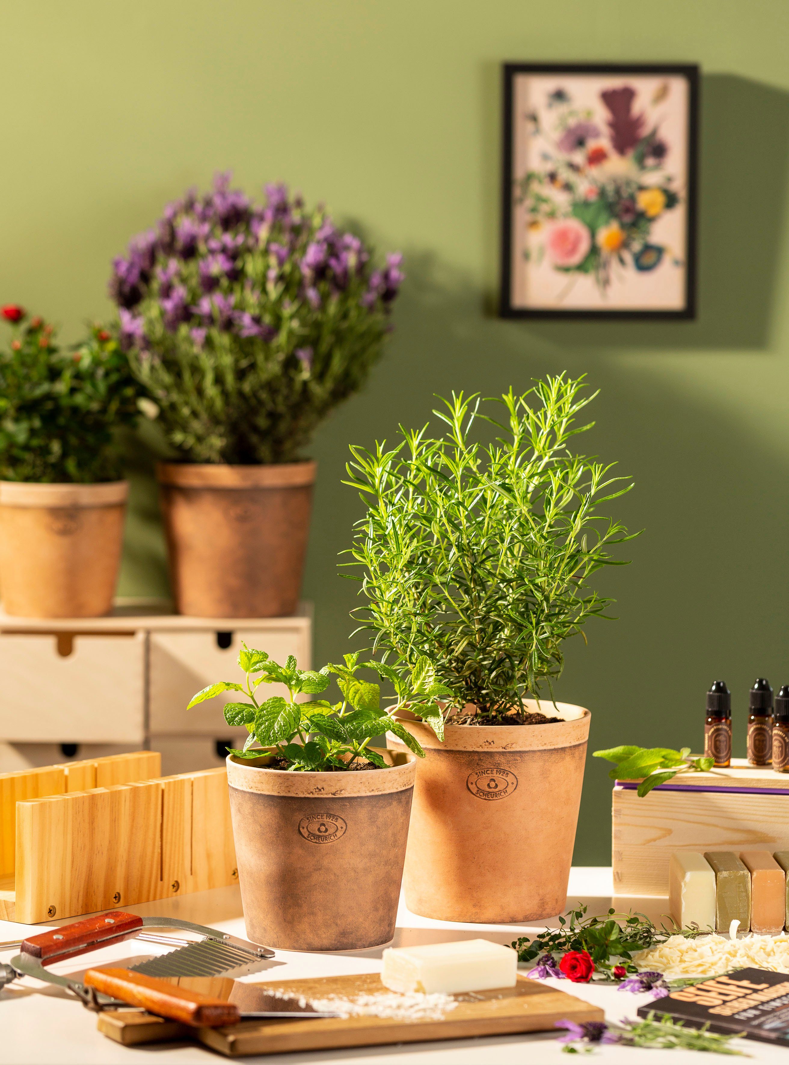 Scheurich Blumentopf 778/19 Toscana nero günstig online kaufen