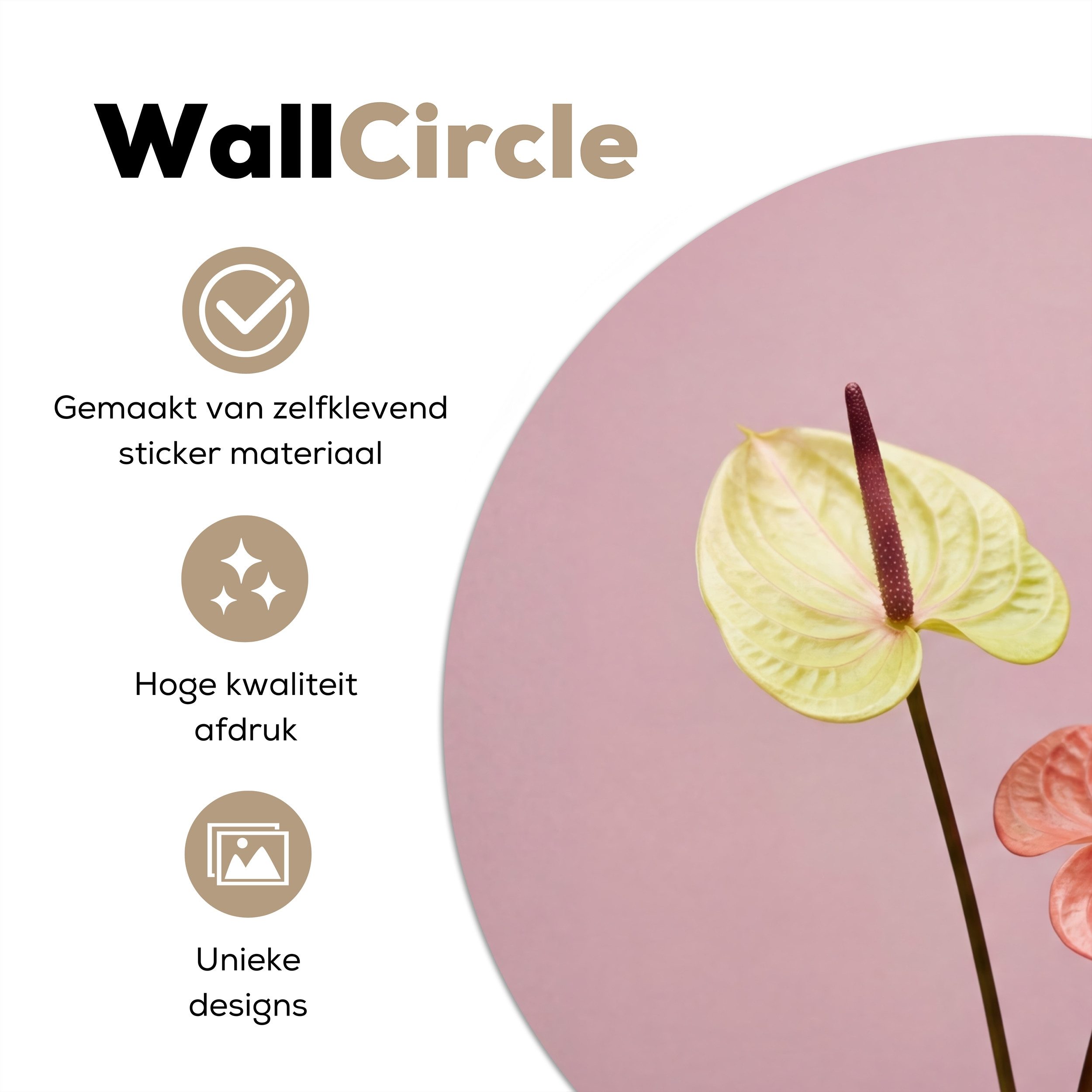 MuchoWow Wandsticker Blumen - Anthurien - Gelb - Rosa (1 St), Wandtattoo Selbstklebend, Wohnzimmer Deko Aufkleber, 30x30 cm