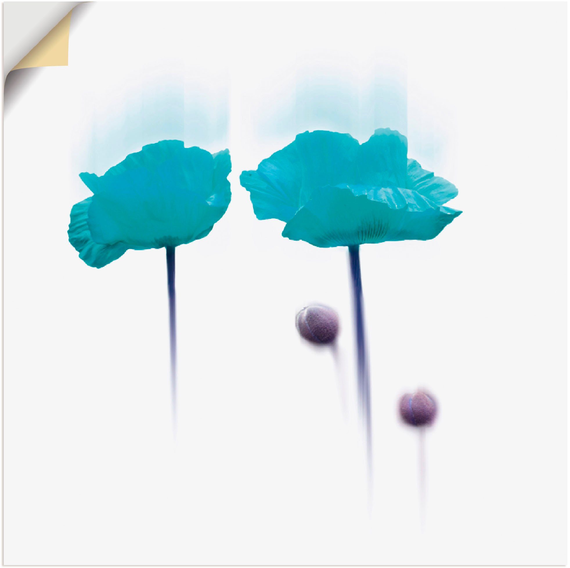 Artland Wandbild Blüte abstrakt, Blumen (1 St), als Leinwandbild, Wandaufkleber oder Poster in versch. Größen blau