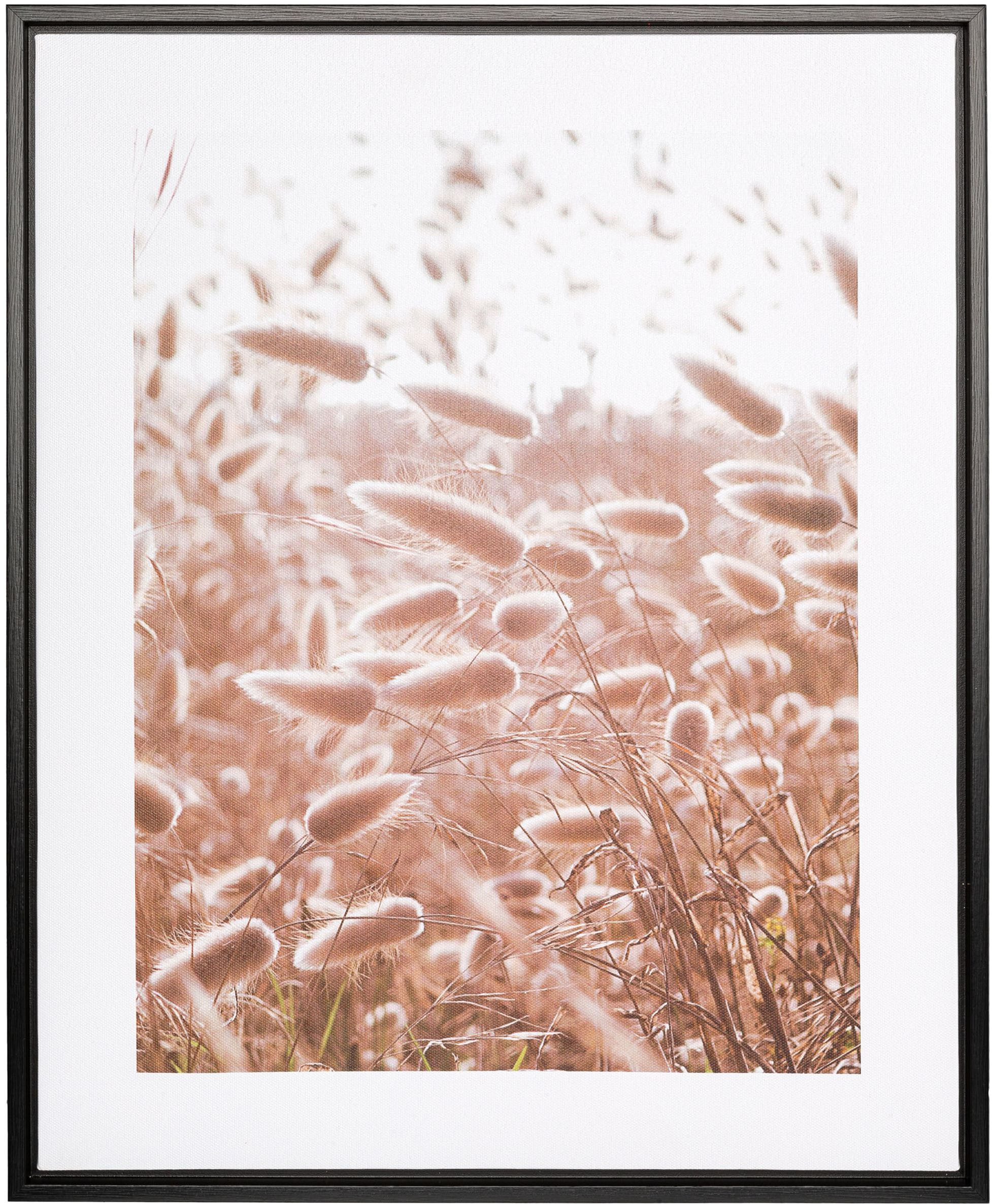 Creativ home Bild mit Rahmen Schilf, (2 St), auf Canvas-Leinwand günstig online kaufen