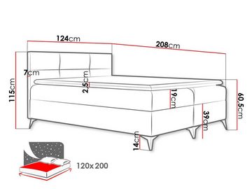 MIRJAN24 Boxspringbett Figaro (Kopfteil und Matratze + Topper), mit 2 Bettkästen, Metallfüße (Höhe: 14 cm)