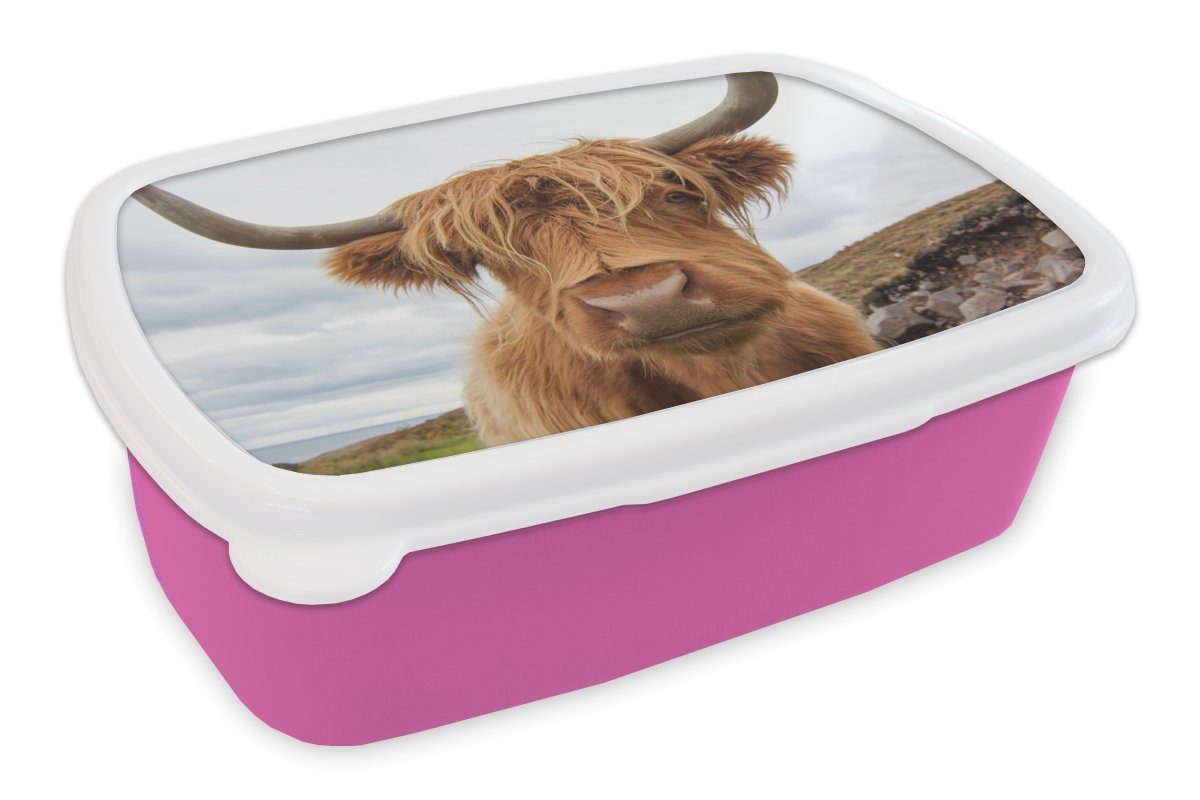 MuchoWow Lunchbox Schottischer Hochländer - Kuh - Landschaft, Kunststoff, (2-tlg), Brotbox für Erwachsene, Brotdose Kinder, Snackbox, Mädchen, Kunststoff rosa