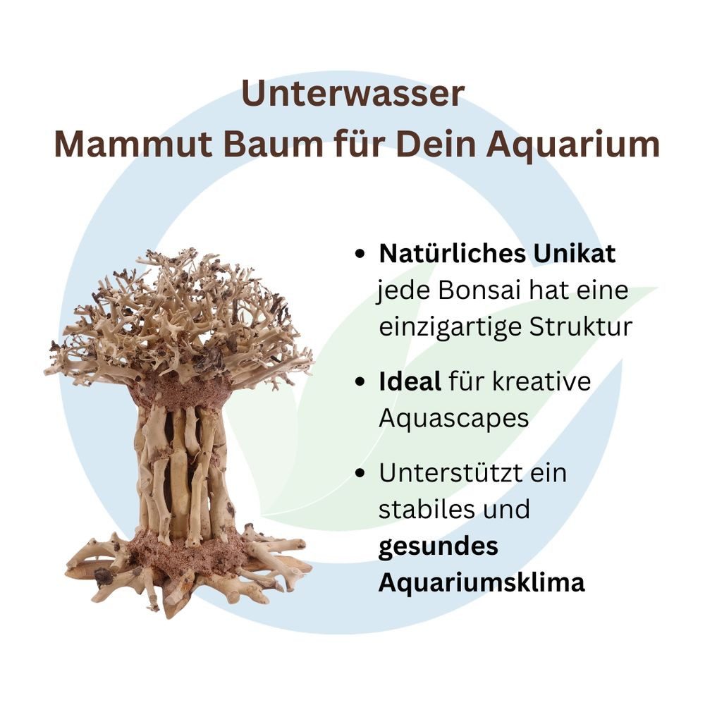 Aquaone Aquarium Bonsai Mammut Baum XL 20x15x25 Wurzel Holz Aquarium Deko Aquascaping