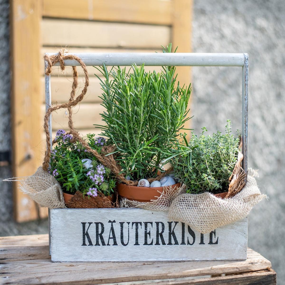 Florists Products Dekokorb Rustikaler Holzpflanzkasten Kräuterkiste Shabby Chic