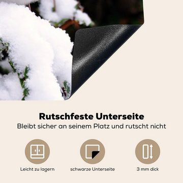 MuchoWow Herdblende-/Abdeckplatte Rotkehlchen - Baum - Schnee, Vinyl, (1 tlg), 65x52 cm, Mobile Arbeitsfläche nutzbar, Ceranfeldabdeckung