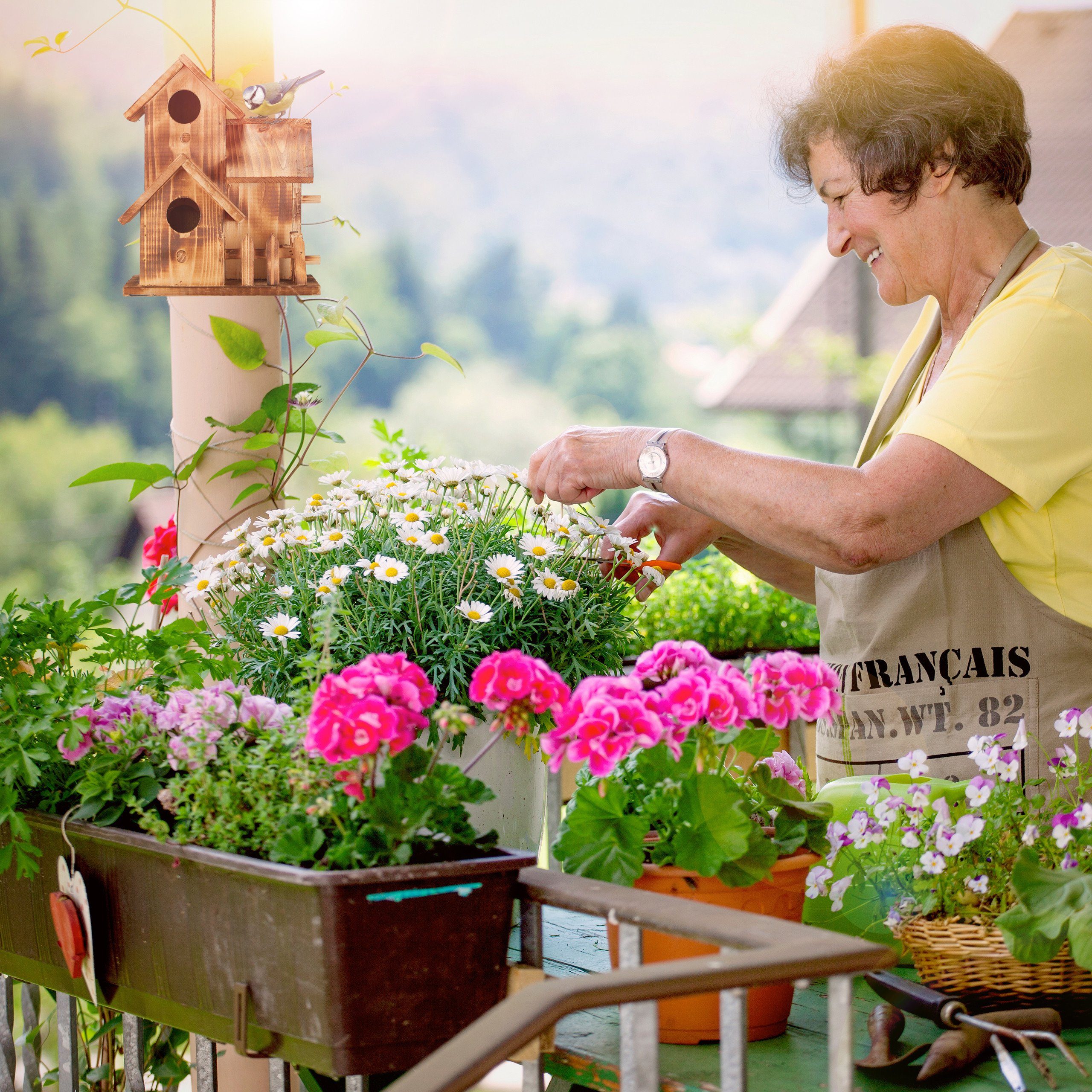 relaxdays Vogelhaus mit 3 Häus günstig online kaufen