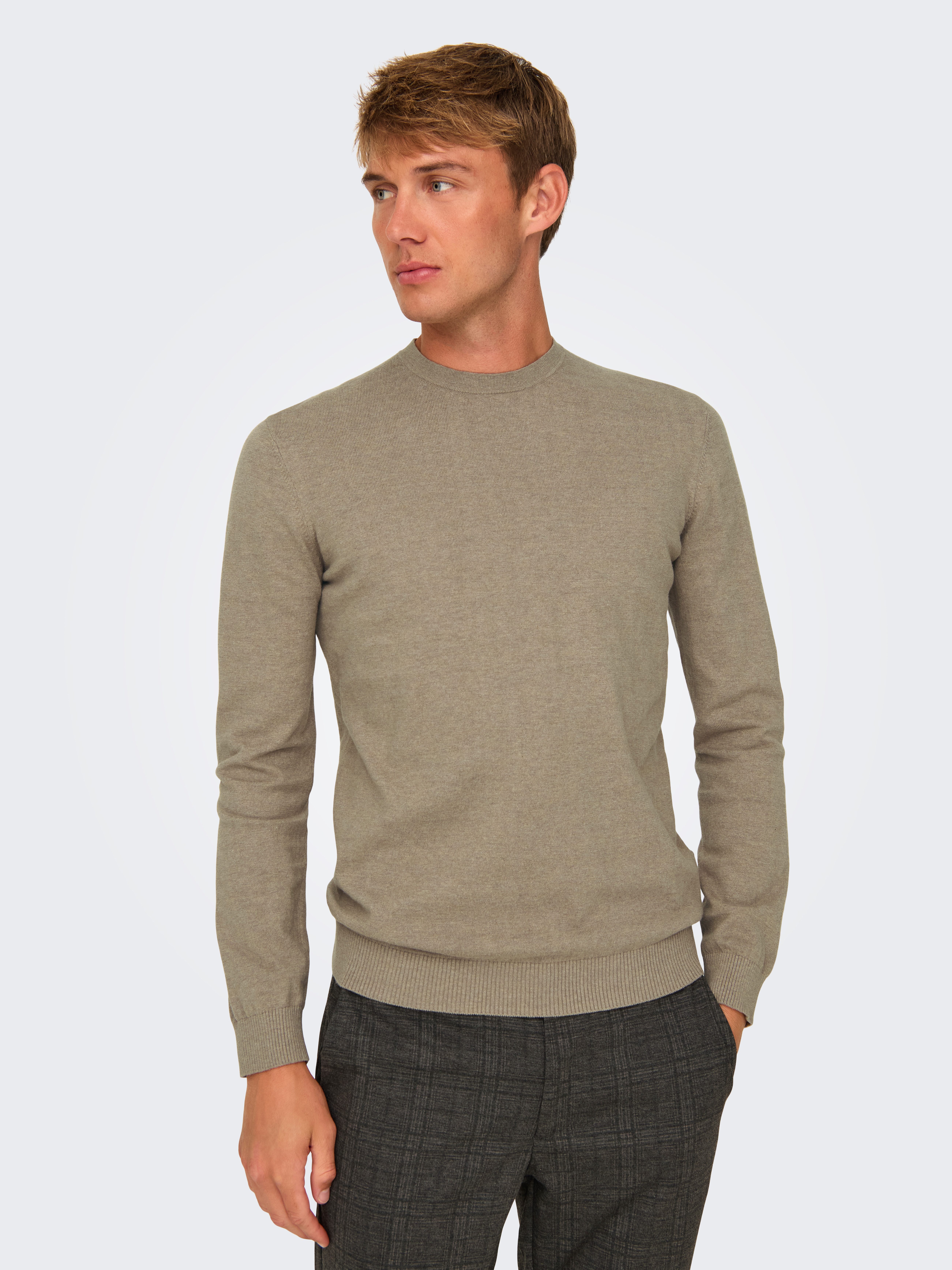 ONLY & SONS Strickpullover ONSLOUI REG günstig online kaufen