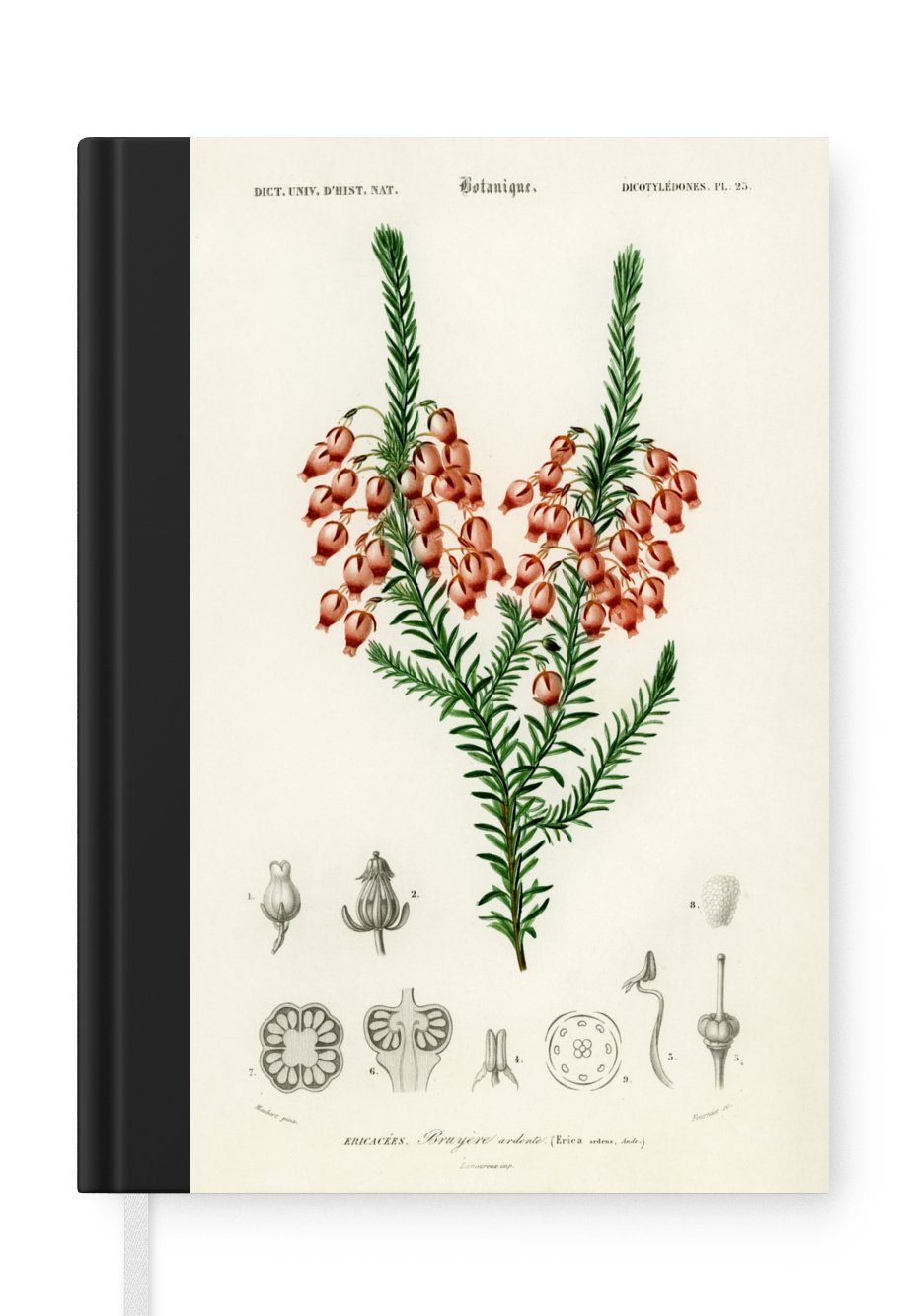 MuchoWow Notizbuch Pflanze - Blume - Botanik, Journal, Merkzettel, Tagebuch, Notizheft, A5, 98 Seiten, Haushaltsbuch