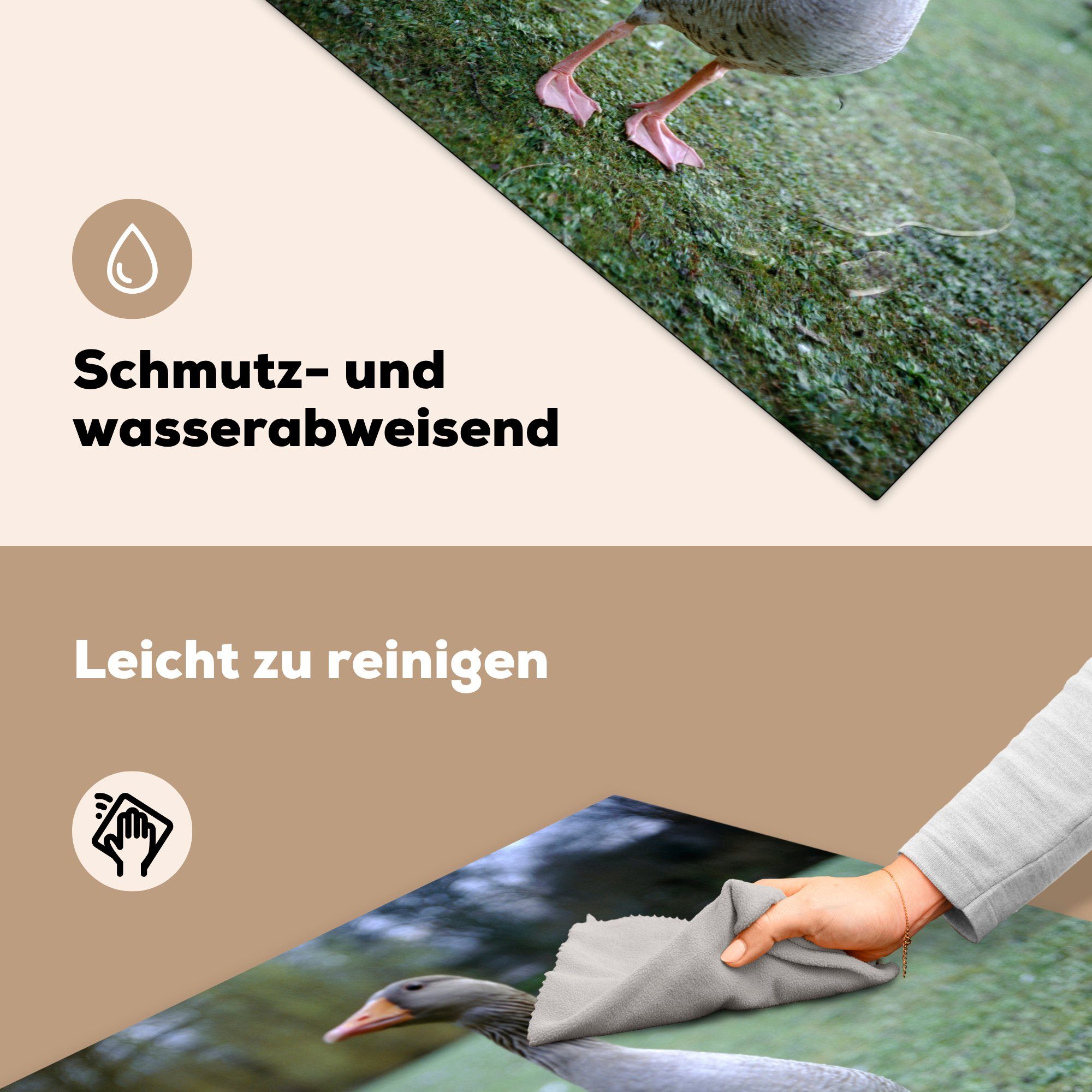 Vinyl, Gras, küche 78x78 Arbeitsplatte cm, tlg), Vogel (1 Graugans für - MuchoWow Herdblende-/Abdeckplatte Ceranfeldabdeckung, -