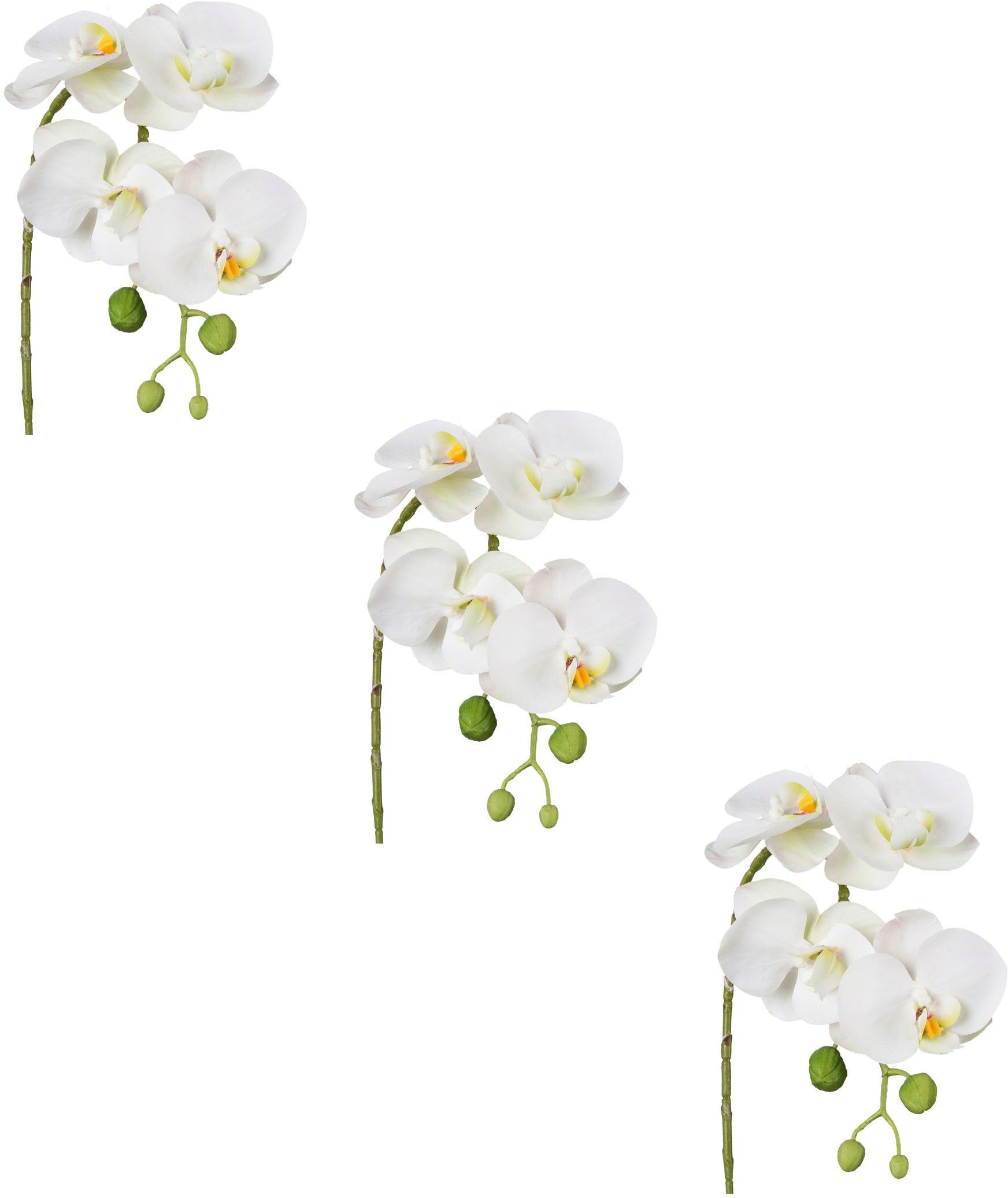 Kunstblume Phalaenopsis 3D-print Orchidee Phalaenopsis, Creativ green, Höhe 42 cm, mit Real-Touch-Blüten