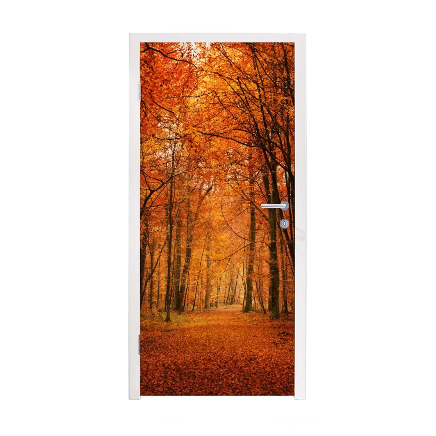 Tür, Türtapete Herbst für bedruckt, (1 St), Fototapete 75x205 - - cm MuchoWow Wald, Türaufkleber, Rot Matt,