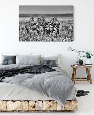 Pixxprint Leinwandbild kleine Zebrahorde, kleine Zebrahorde (1 St), Leinwandbild fertig bespannt, inkl. Zackenaufhänger