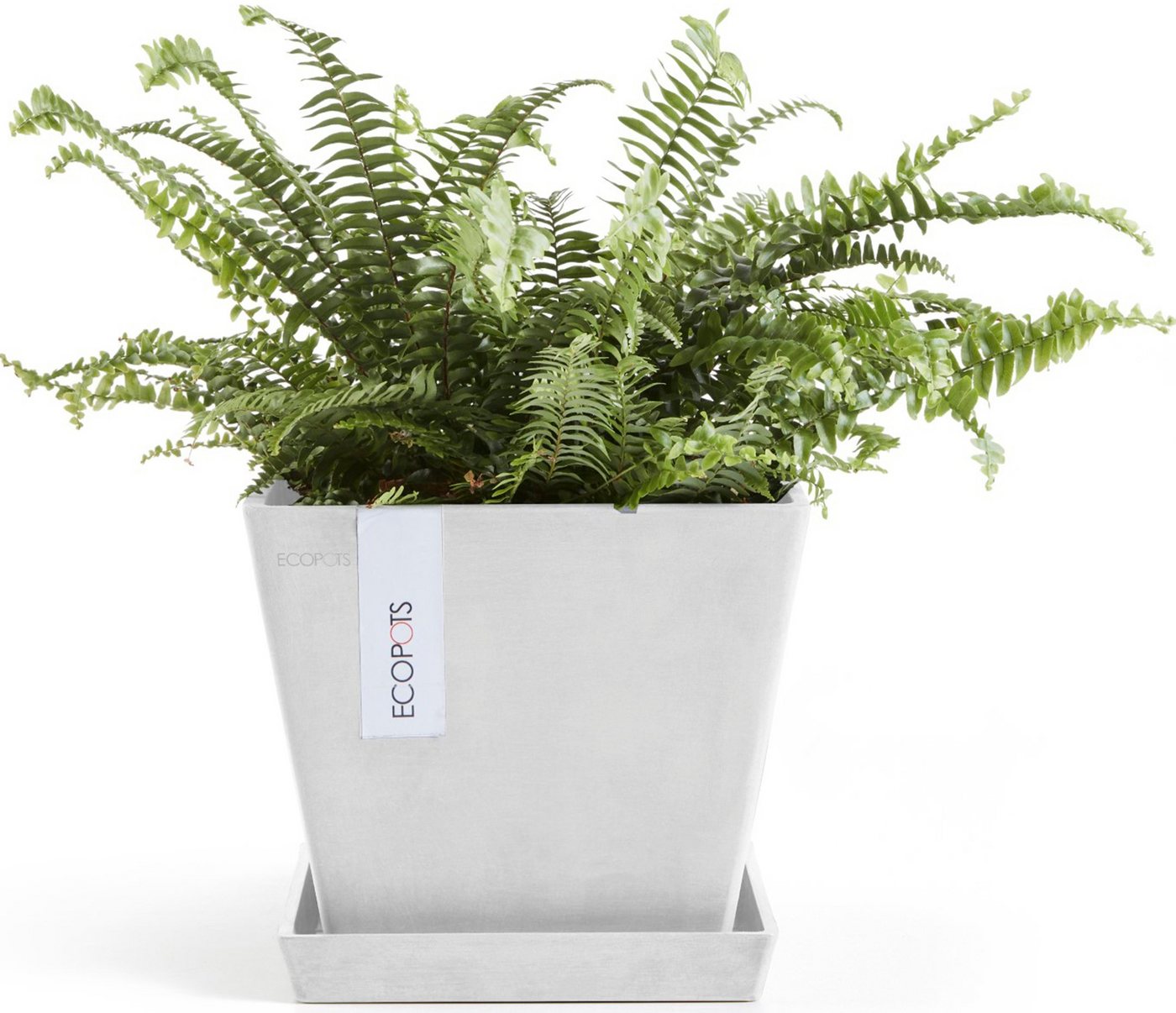 Thumbnail - ECOPOTS Blumentopf Rotterdam 20 Weiß, für innen und außen: frostsicher, bruchsicher und lichtbeständig