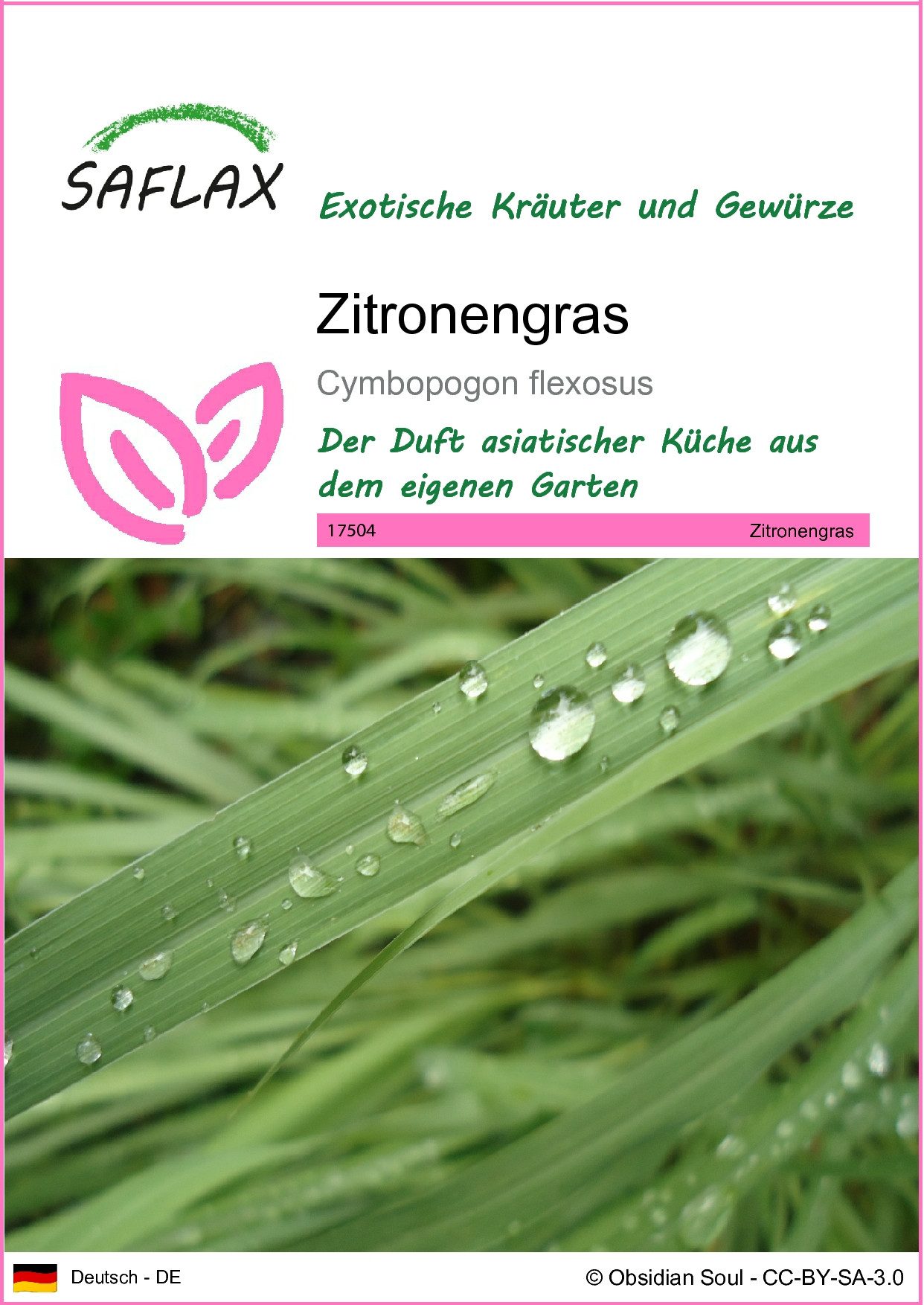 SAFLAX Kräutersamen SAFLAX - Samen - Zitronengras