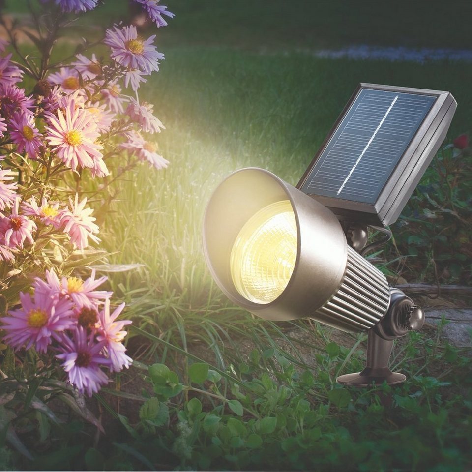 esotec LED Gartenleuchte Solarstrahler Spotlight RGB 7 Lichtfarben zur  Auswahl