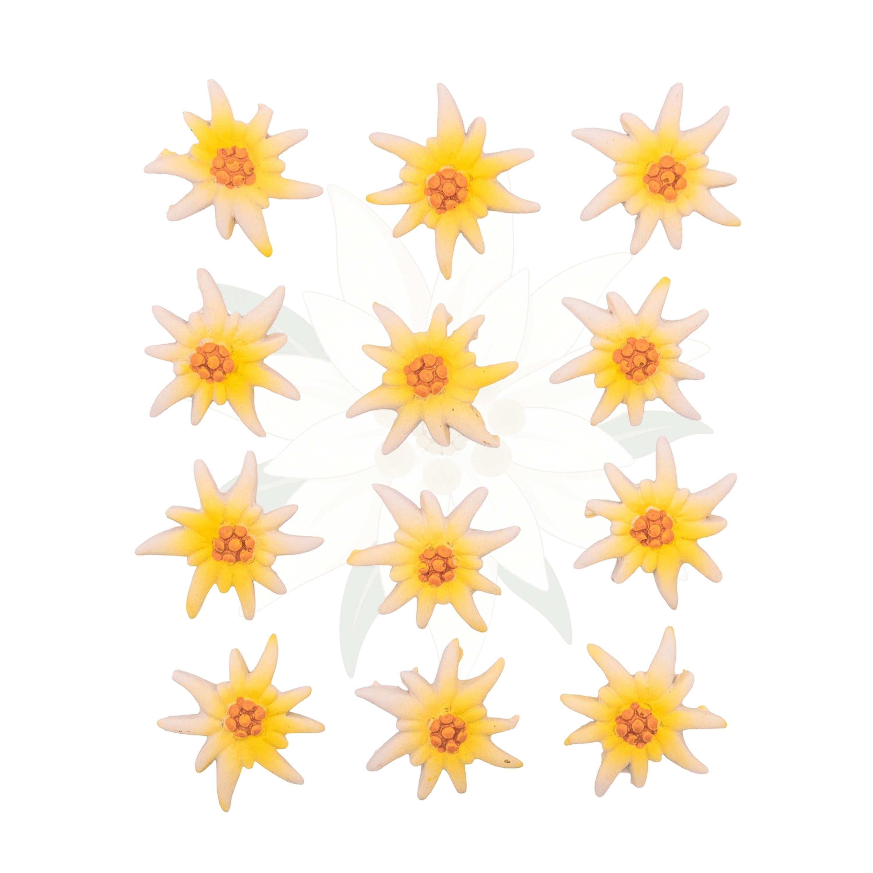 Logbuch-Verlag Dekofigur Edelweiss Streudeko 12er Set 2,5 cm aus Polyresin – Alpenblume