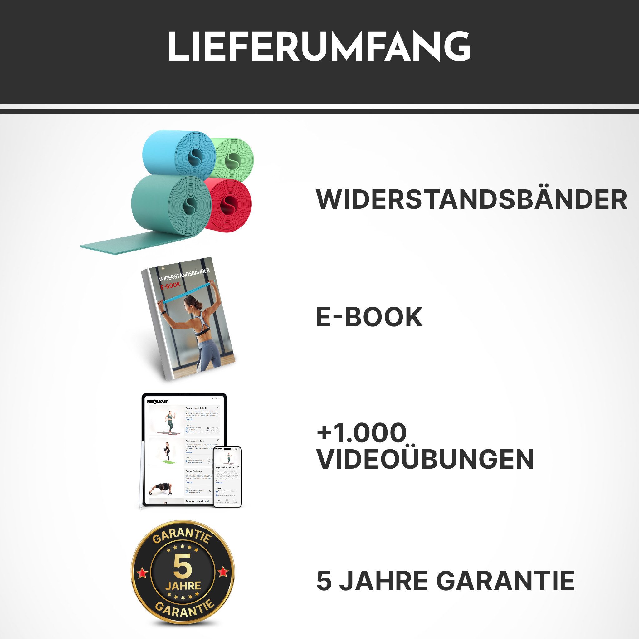 NEOLYMP Physiobänder Widerstandsbänder 15 cm breit - reißfeste Fitnessbänder aus TPE, Flossing Band - elastische Resistance Bands für Krafttraining, Physio