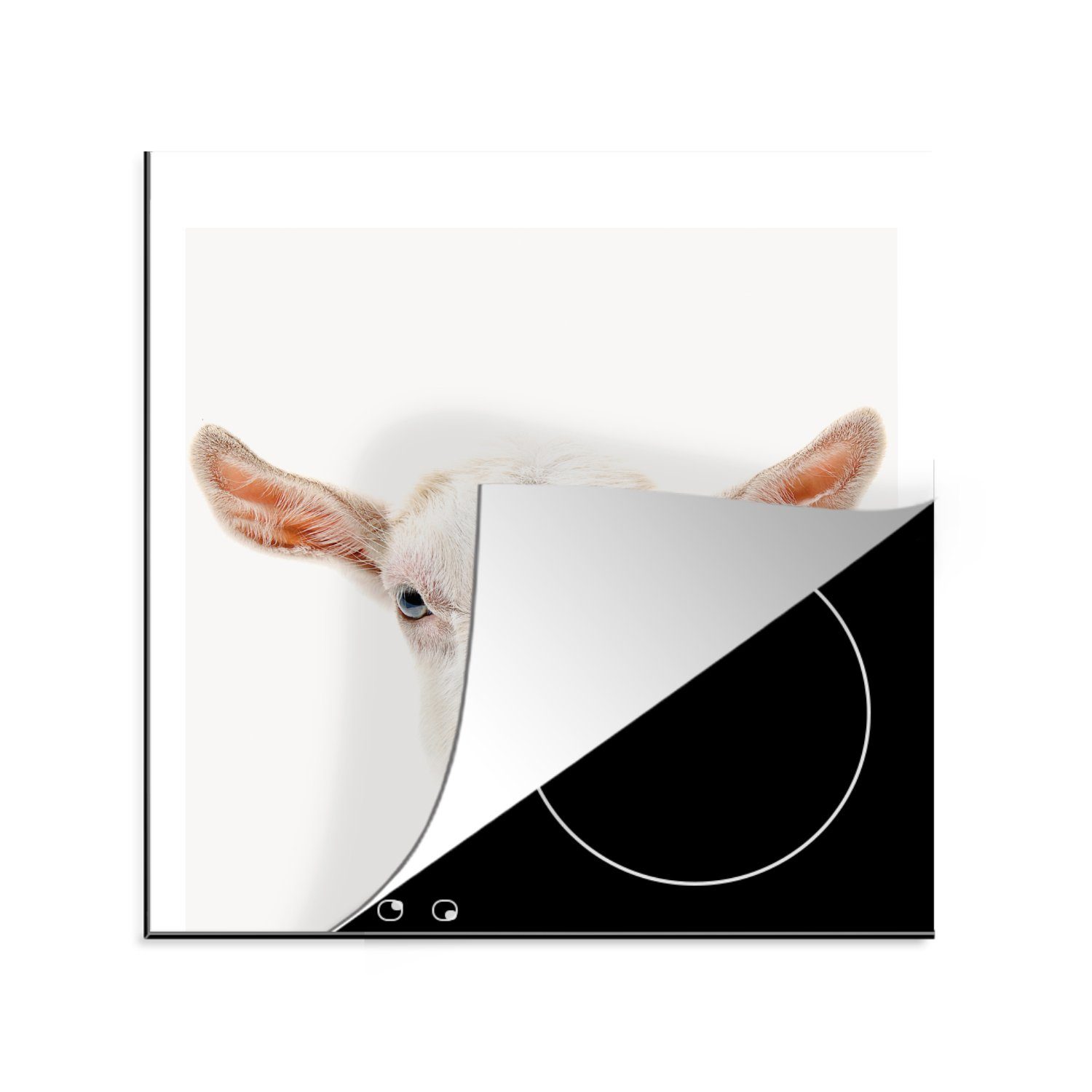 MuchoWow Herdblende-/Abdeckplatte Tiere - Ziege - Weiß, Vinyl, (1 tlg), 78x78 cm, Ceranfeldabdeckung, Arbeitsplatte für küche