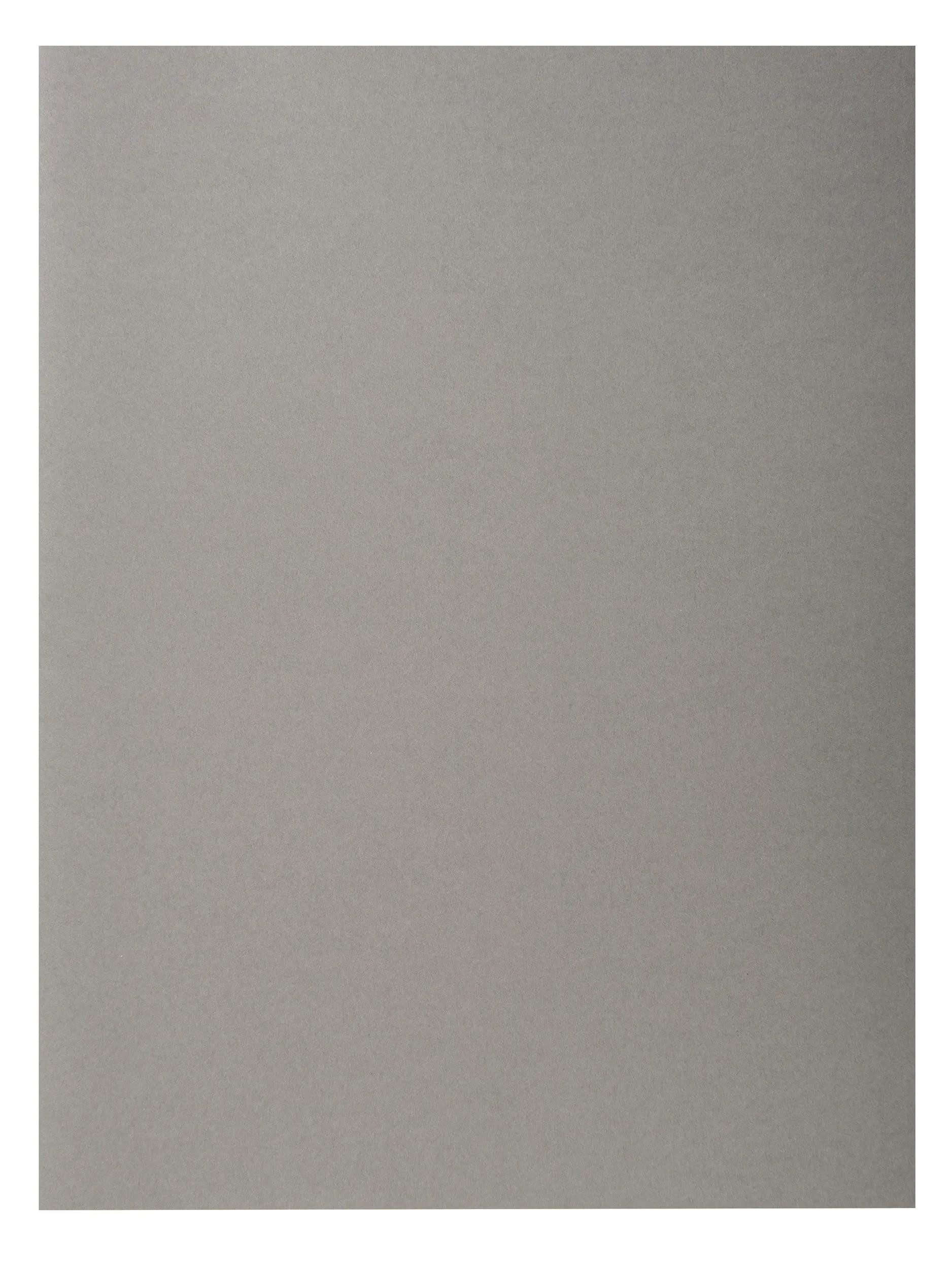 EXACOMPTA Organisationsmappe 5x Pack 100 Aktendeckeln Recycling 220g A4 - Grau - 410009E, Aktendeckel