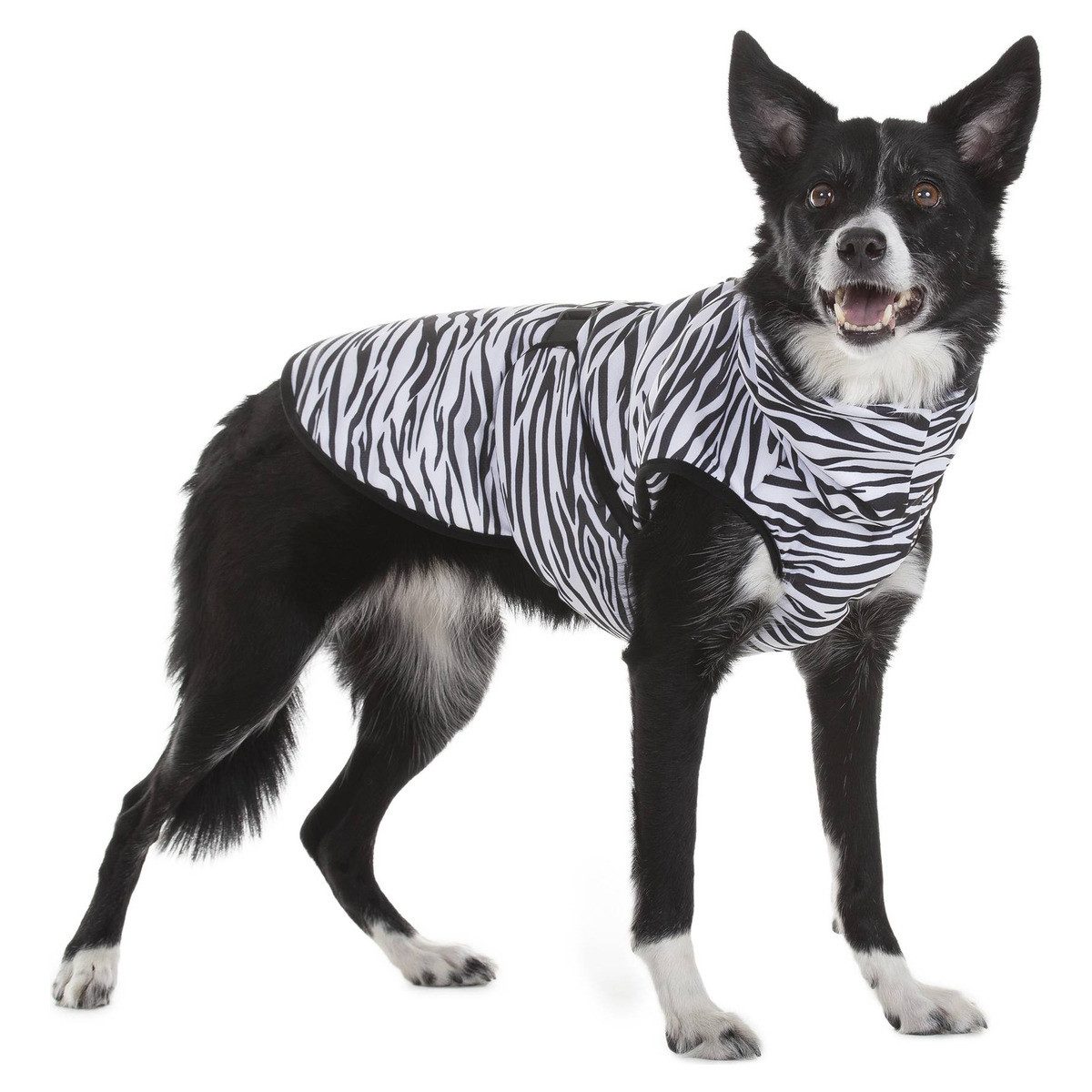 Thumbnail - PAIKKA Hundeweste Hunde Kühlweste Antiparasit mit Repeltec Cool & Bug vest