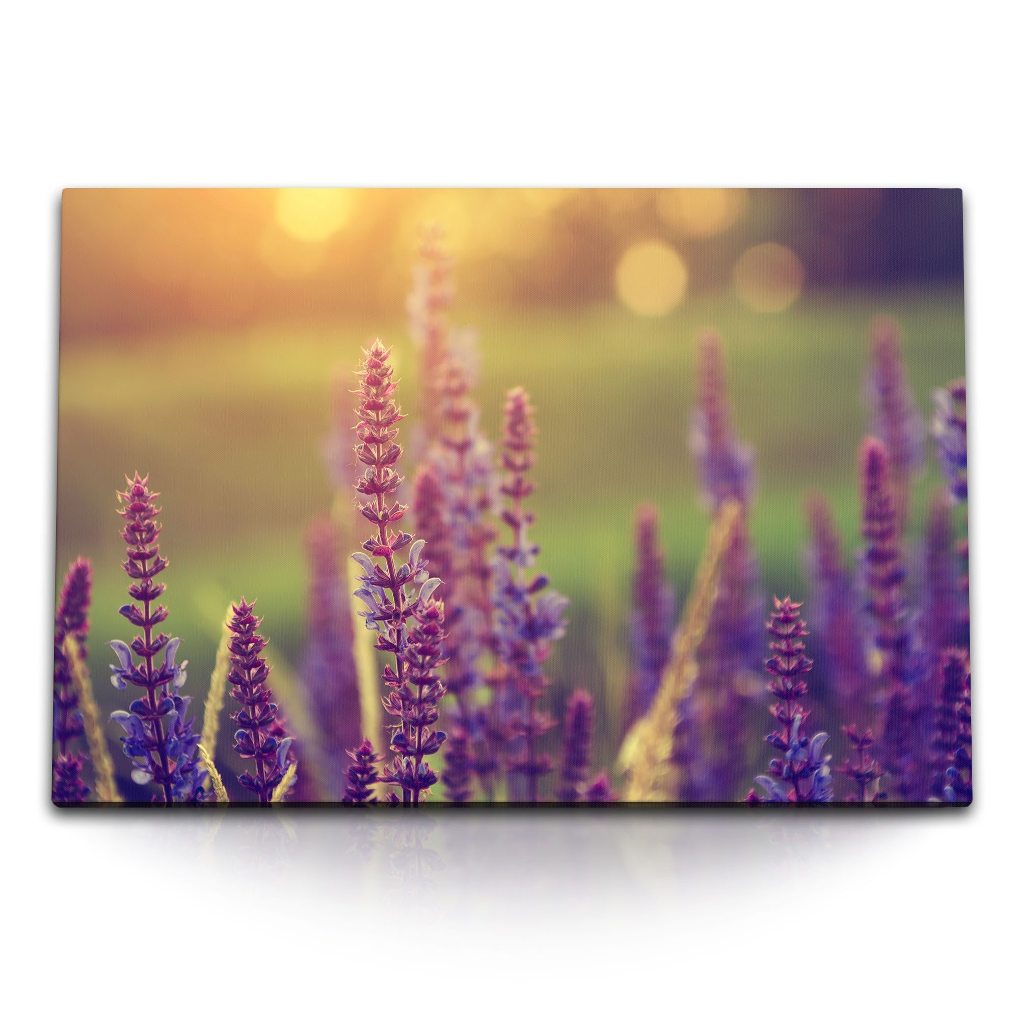 Leinwandbild 120x80cm Wandbild auf Leinwand Lavendel Sonnenuntergang Sommer Natur B