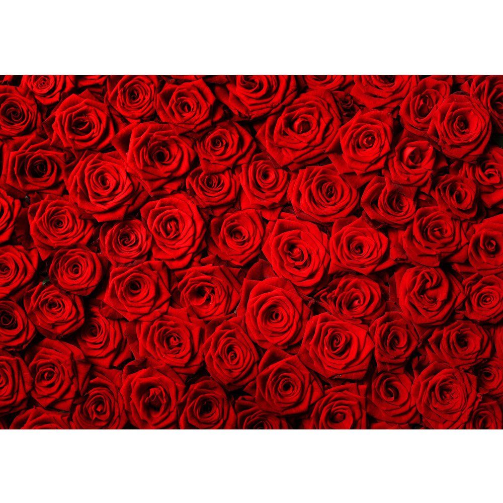 no. Fototapete Liebe Love Rose Fototapete 190, Blüten Blumen Blüte liwwing liwwing Blumen Rot Natur
