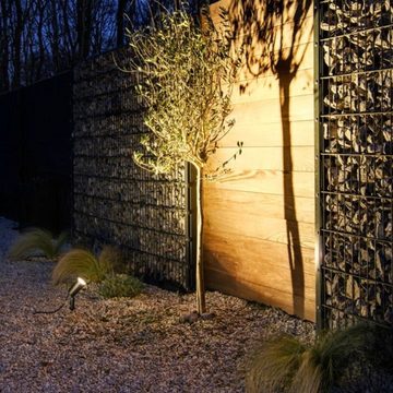 SLV LED Gartenstrahler LED Erdspießleuchte Syna Plant in Schwarz 6W 540lm IP65, keine Angabe, Leuchtmittel enthalten: Ja, fest verbaut, LED, warmweiss, Außenstrahler