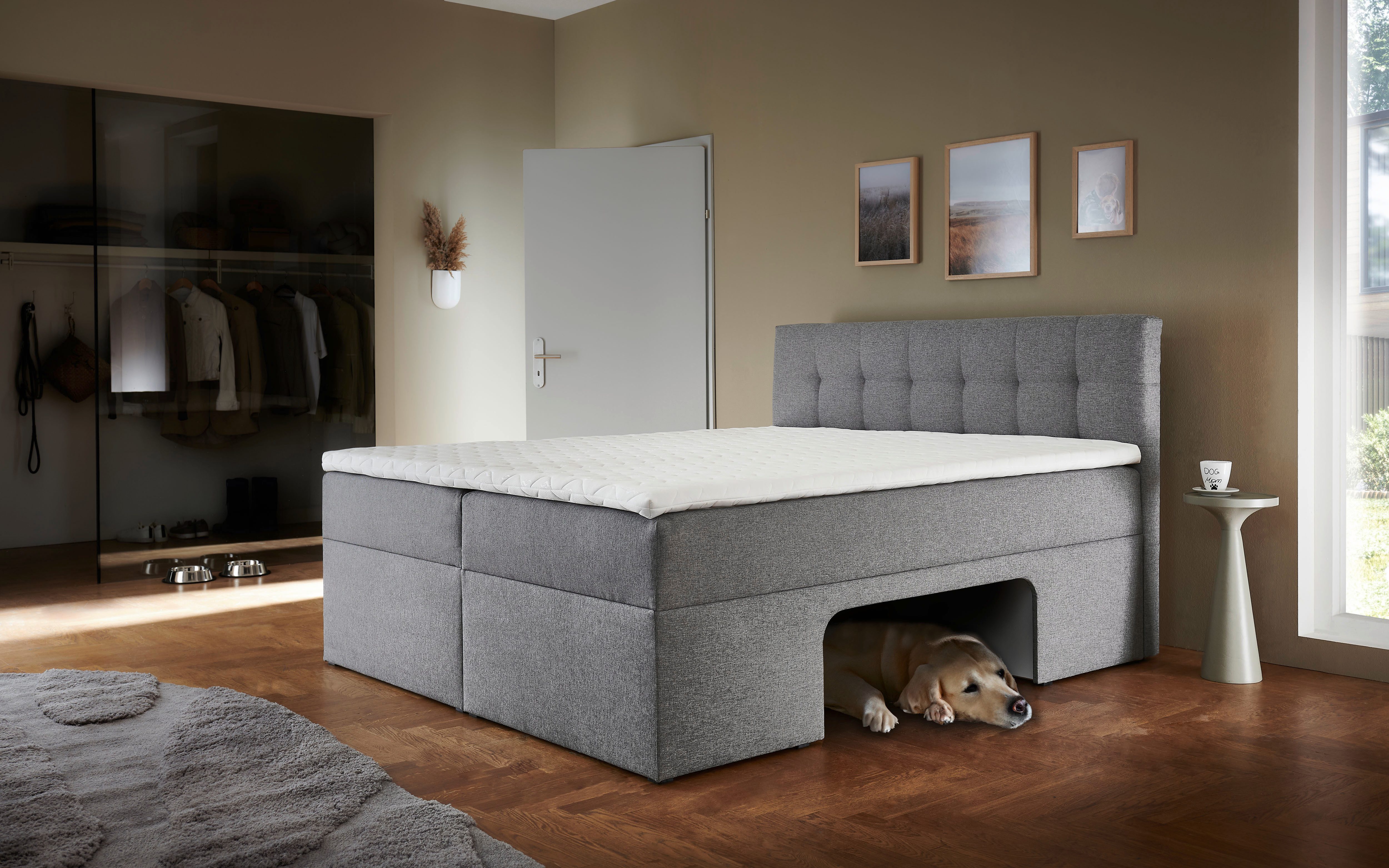 Places of Style Boxbett "Carolin", mit Nische inkl. gepolsterter Unterlage günstig online kaufen
