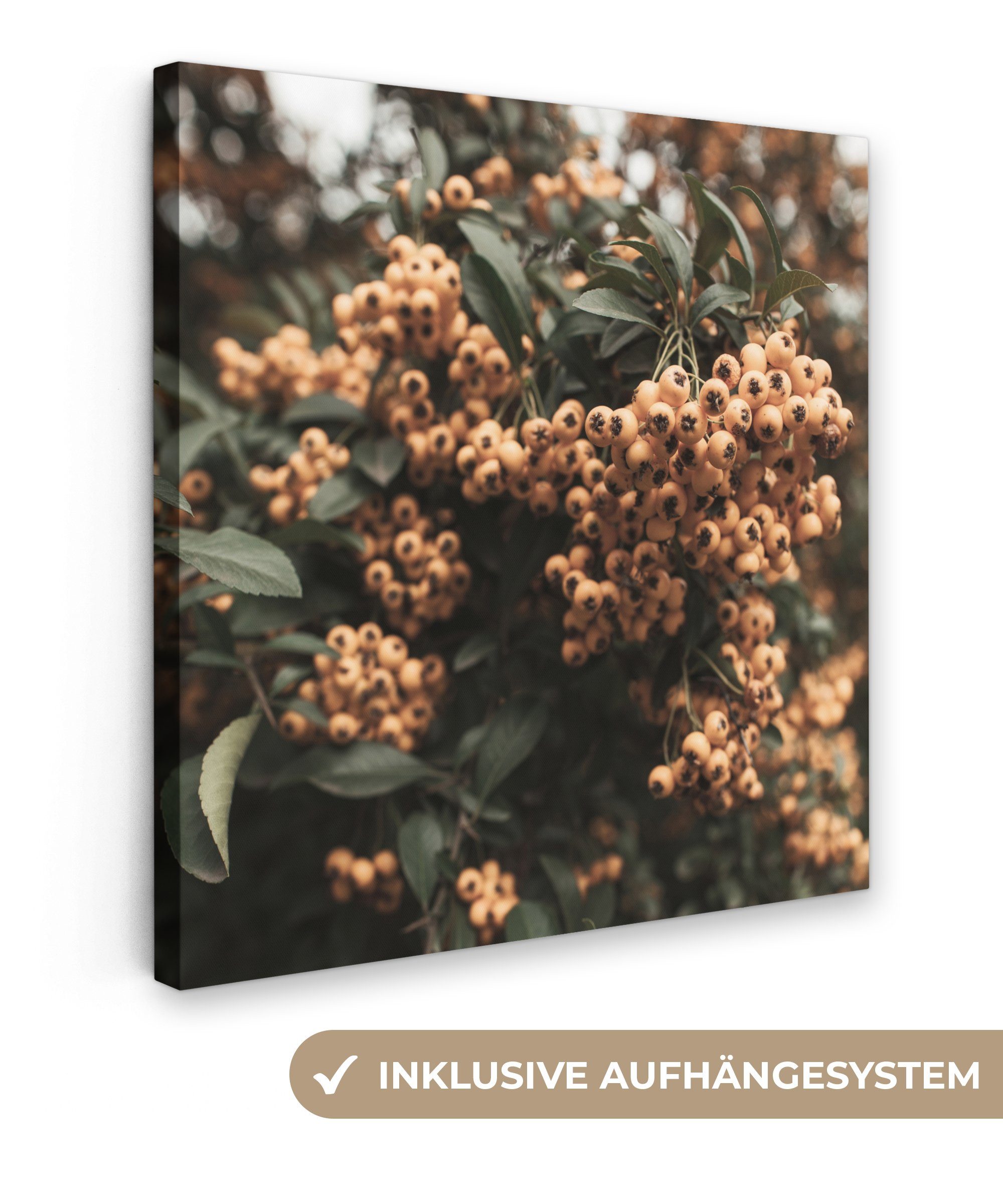 OneMillionCanvasses® Leinwandbild Beeren - Natur - Blätter - Strauch, (1 St), Leinwand Bilder für Wohnzimmer Schlafzimmer, 20x20 cm
