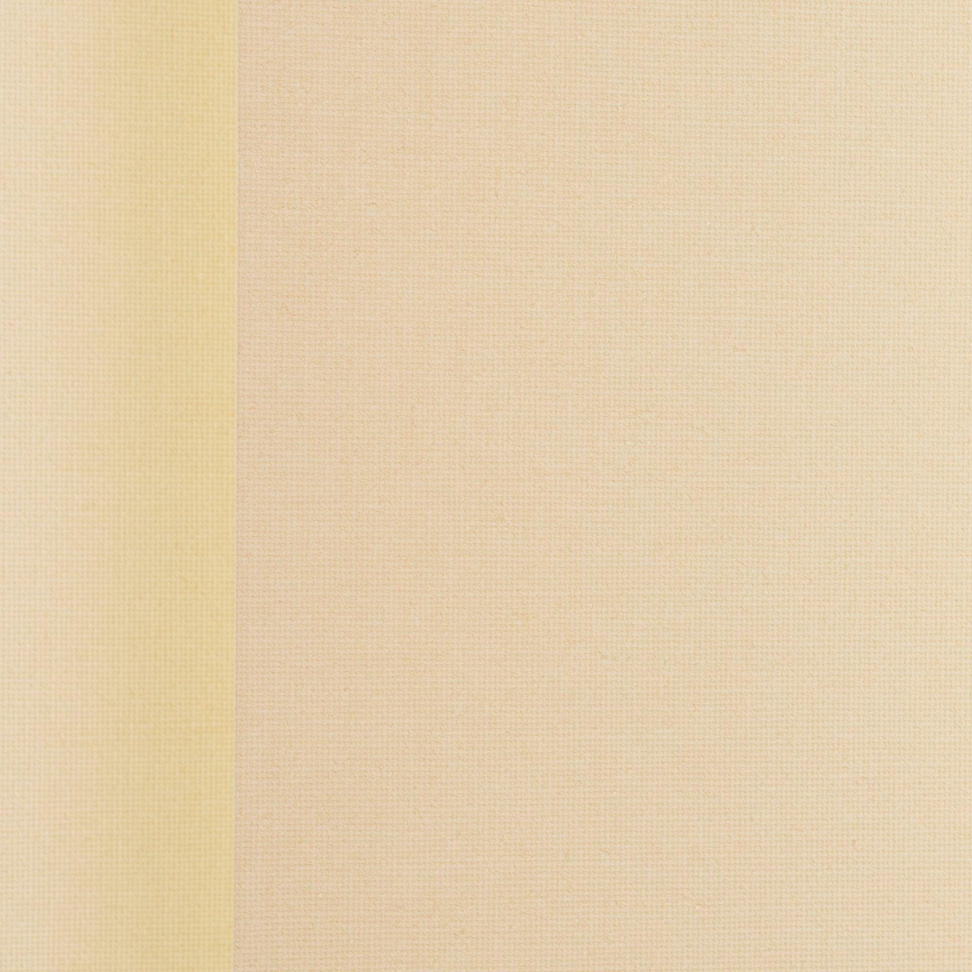 Lamellenvorhang Lamellenvorhang Vertikalanlage perlex beige Vertikalanlage mm freihängend, Kürzbare - Perlex Lamelle, Liedeco, 127