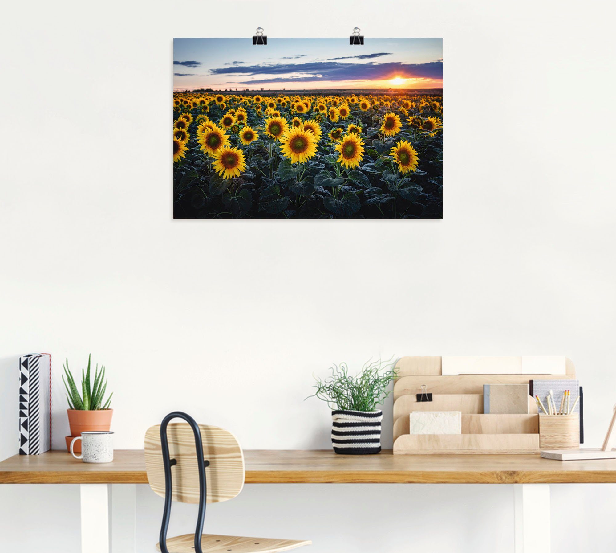 Alubild, Blumenwiese in (1 Sonnenblumenfeld, versch. Sonne Hintergrund, St), Größen Wandaufkleber oder Artland Wandbild Poster als im Leinwandbild,