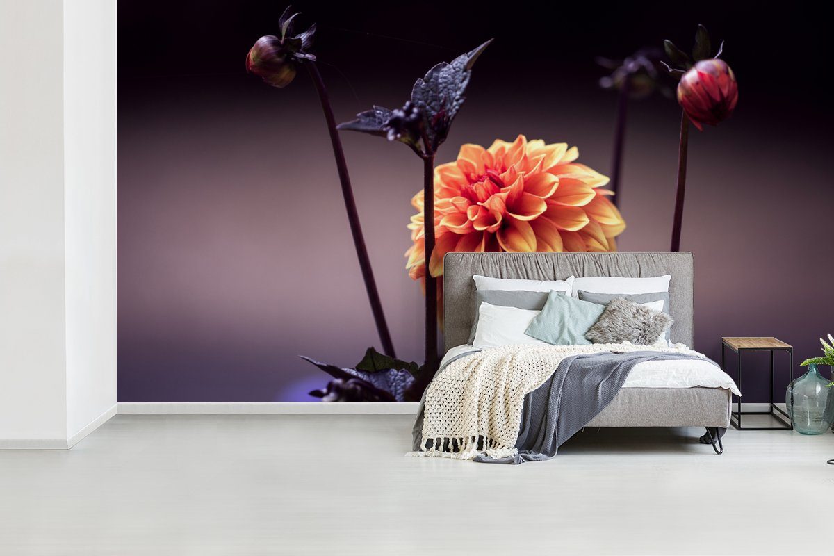 Chrysantheme Wohnzimmer Blumen für Fototapete - St), Pflanzen, bedruckt, (7 - Vliestapete Matt, Küche, MuchoWow Fototapete Schlafzimmer - Makro
