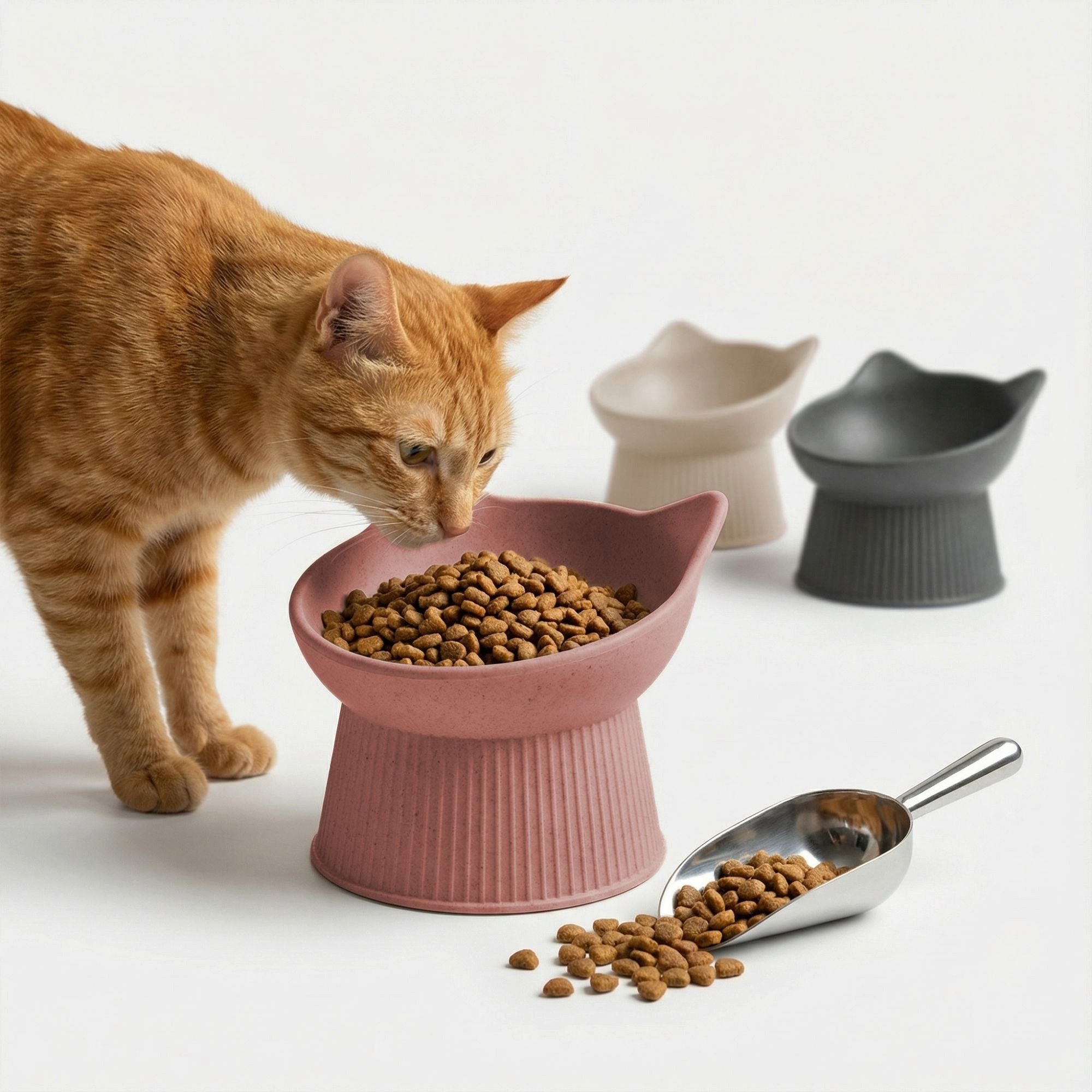 Piupet Napf Erhöhter Katzennapf "ALMA", 50 % Bambusfasern, 50 % recycelter Kunststoff