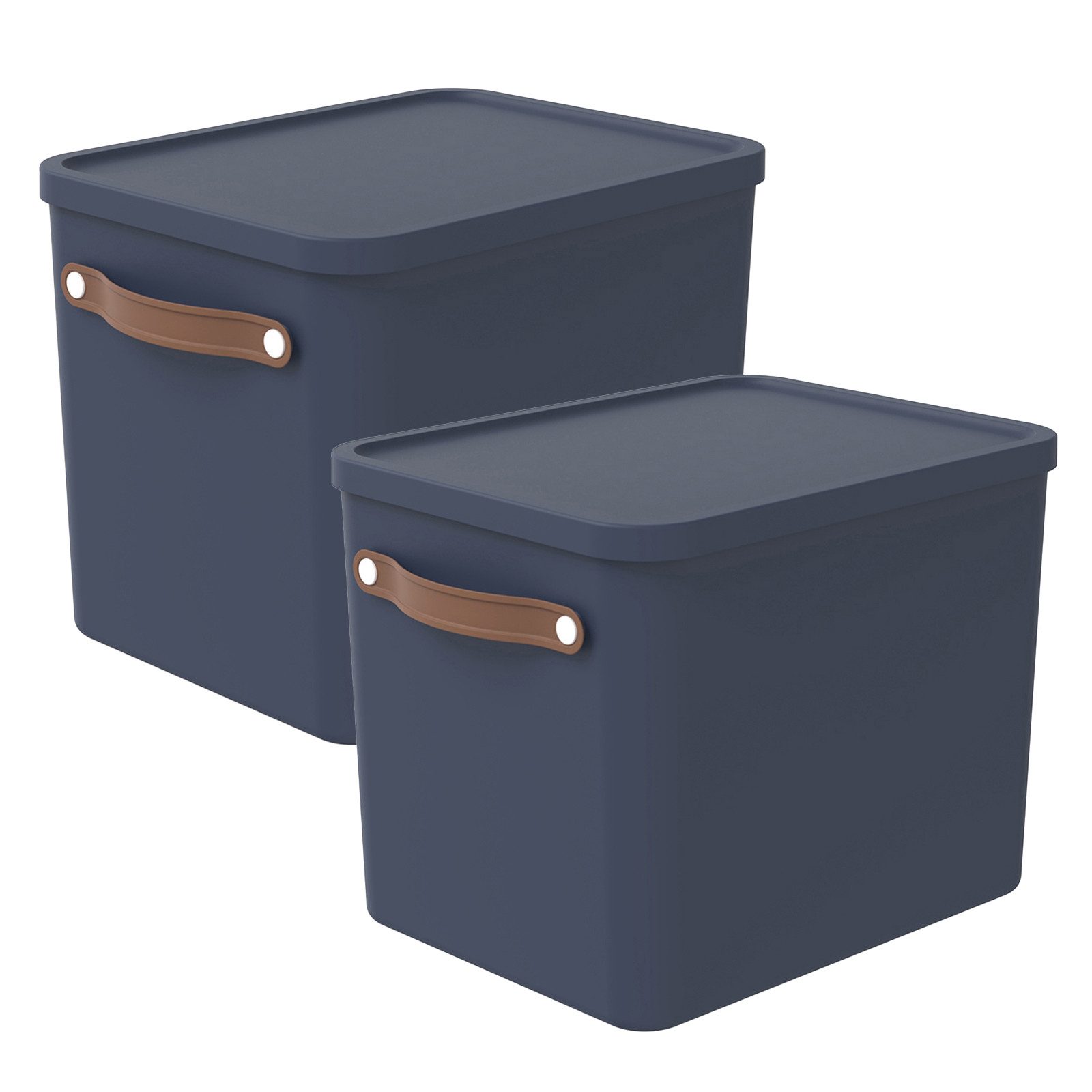 ROTHO Aufbewahrungsbox (Aufbewahrungsset, 2er-Set) günstig online kaufen