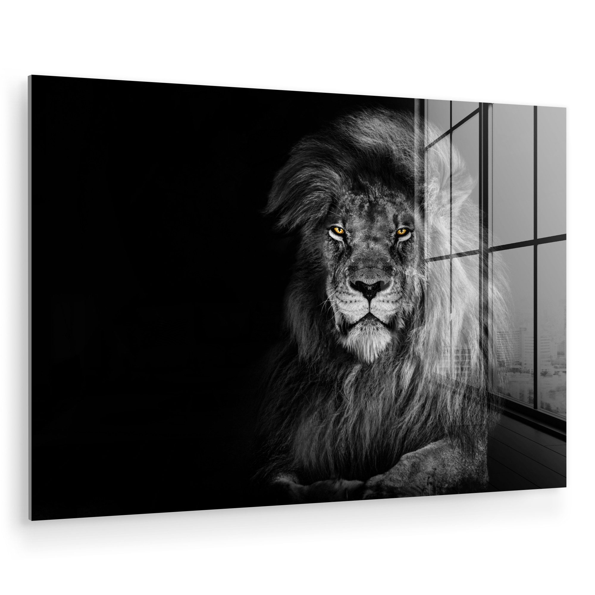 MuchoWow Acrylglasbild Löwe - Augen - günstig online kaufen
