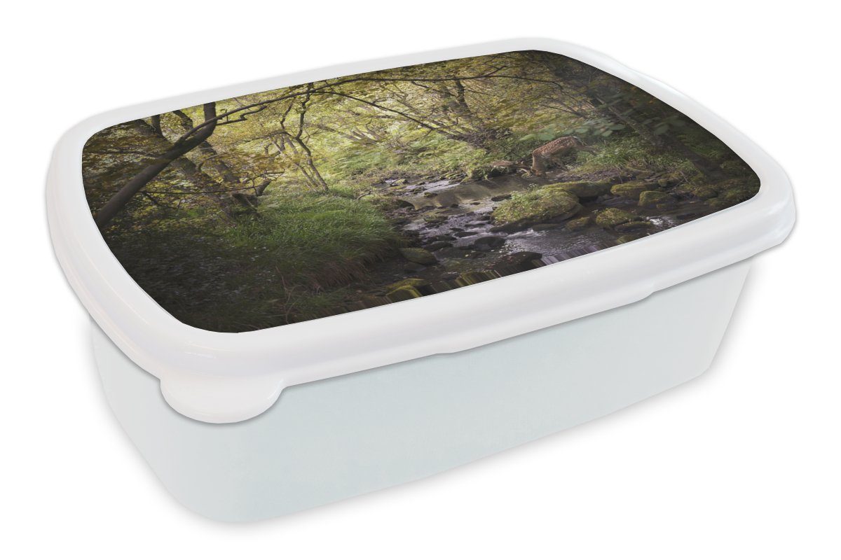 MuchoWow Lunchbox Hirsch - Baum - Wald, Kunststoff, (2-tlg), Brotbox für Kinder und Erwachsene, Brotdose, für Jungs und Mädchen weiß