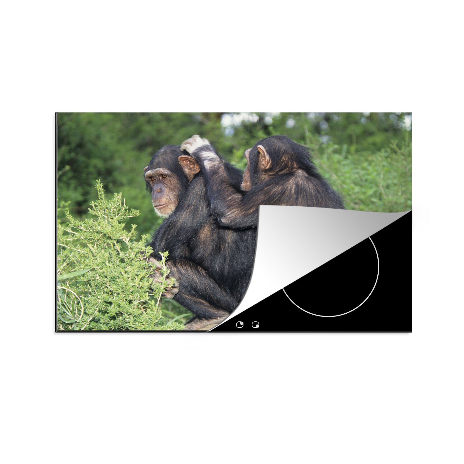 MuchoWow Herdblende-/Abdeckplatte Pflege von Schimpansen, Vinyl, (1 tlg), 81x52 cm, Induktionskochfeld Schutz für die küche, Ceranfeldabdeckung