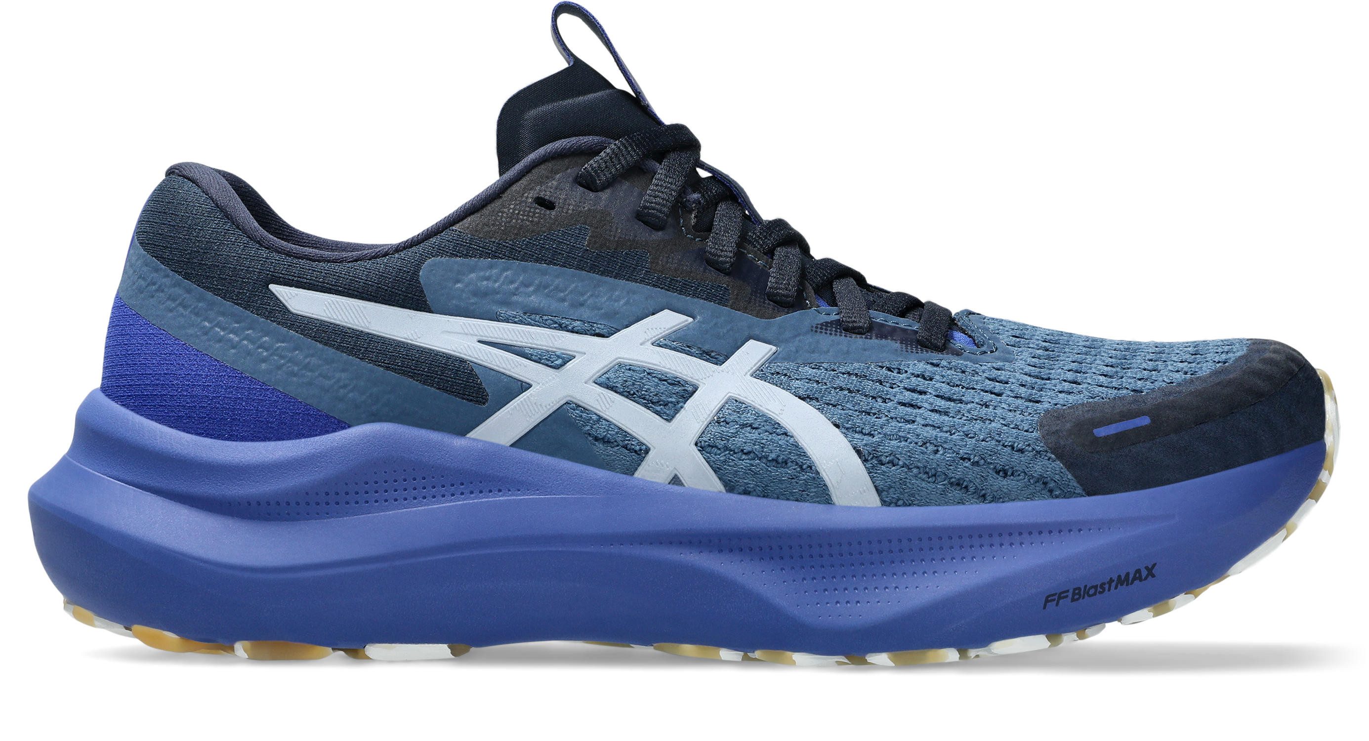 Asics GT-2000 14 LITE-SHOW Laufschuh für mehr Stabilität, mit reflektierend günstig online kaufen