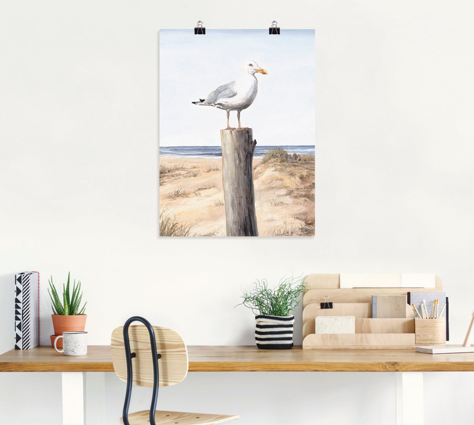 Artland Wandbild Möwe, Vögel (1 St), günstig online kaufen
