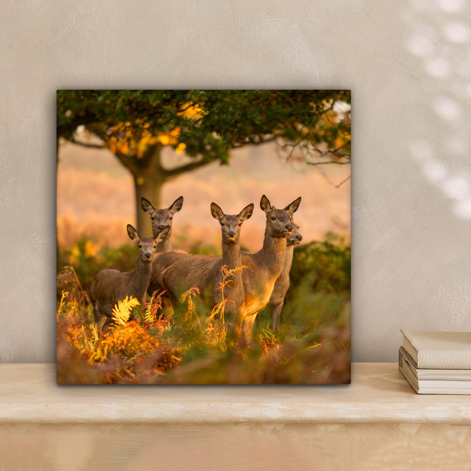 OneMillionCanvasses® Leinwandbild Herbst - Sonne - günstig online kaufen