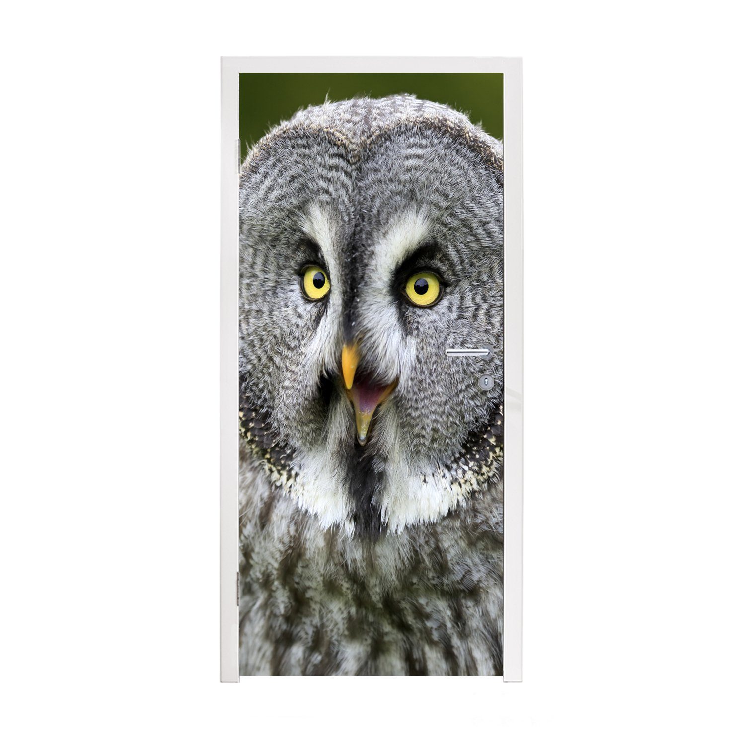 MuchoWow Türtapete Vogel - Eule - Grau, Matt, bedruckt, (1 St), Fototapete für Tür, Türaufkleber, 75x205 cm