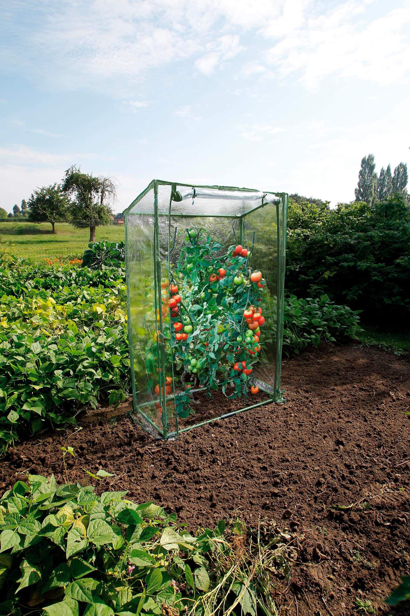 Ubbink Tomatengewächshaus, Ideal für die Tomatenanzucht