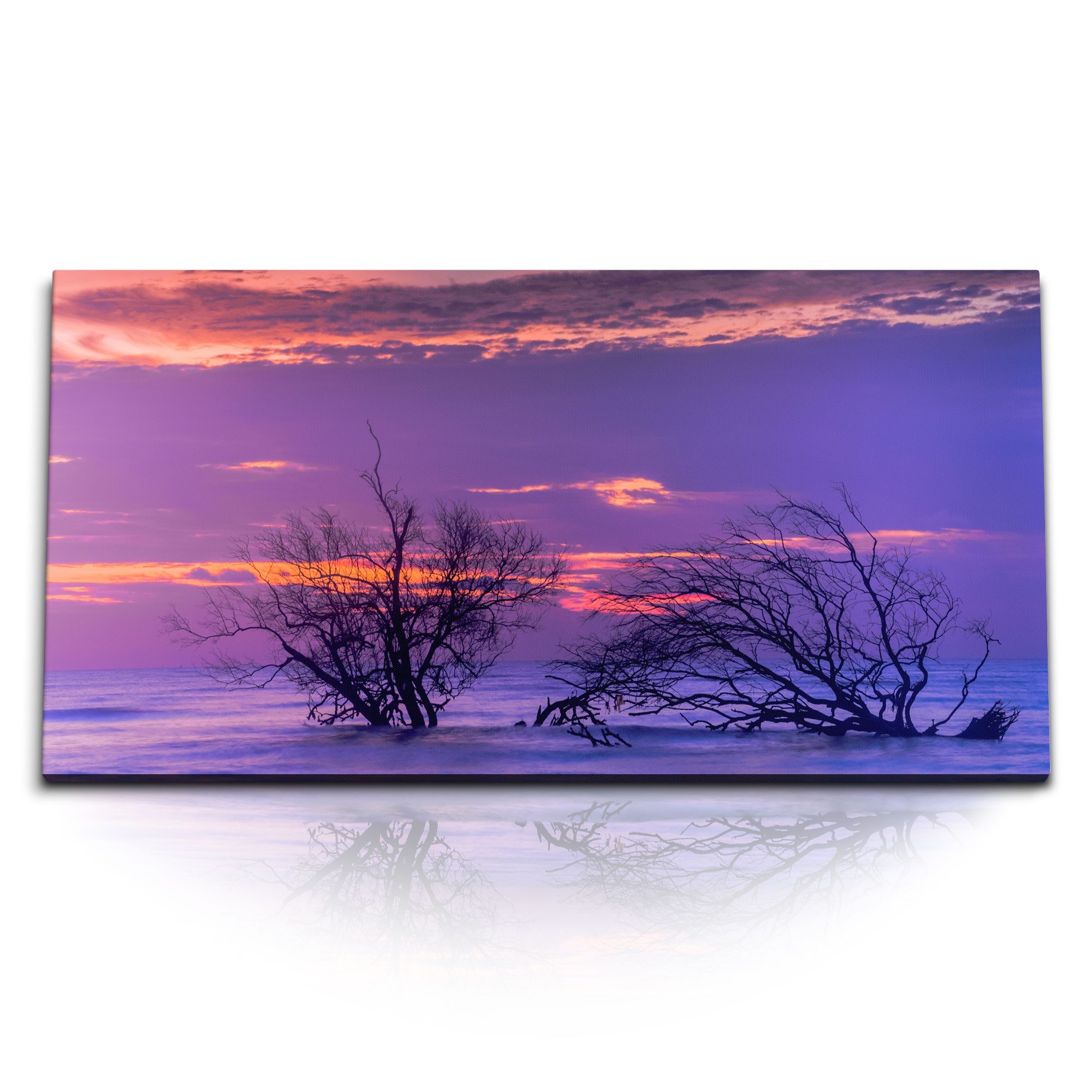 Leinwandbild Kunstdruck Bilder 120x60cm Bäume im Wasser Meer Sonnenuntergang rosa H