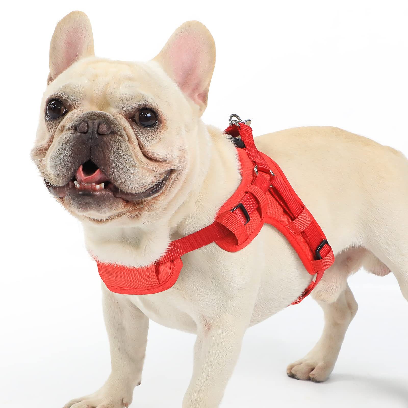 YI Hunde-Sicherheitsgeschirr Hundegeschirr Einstellbar Anti Zug Geschirr Klein Weich Brustgeschirr