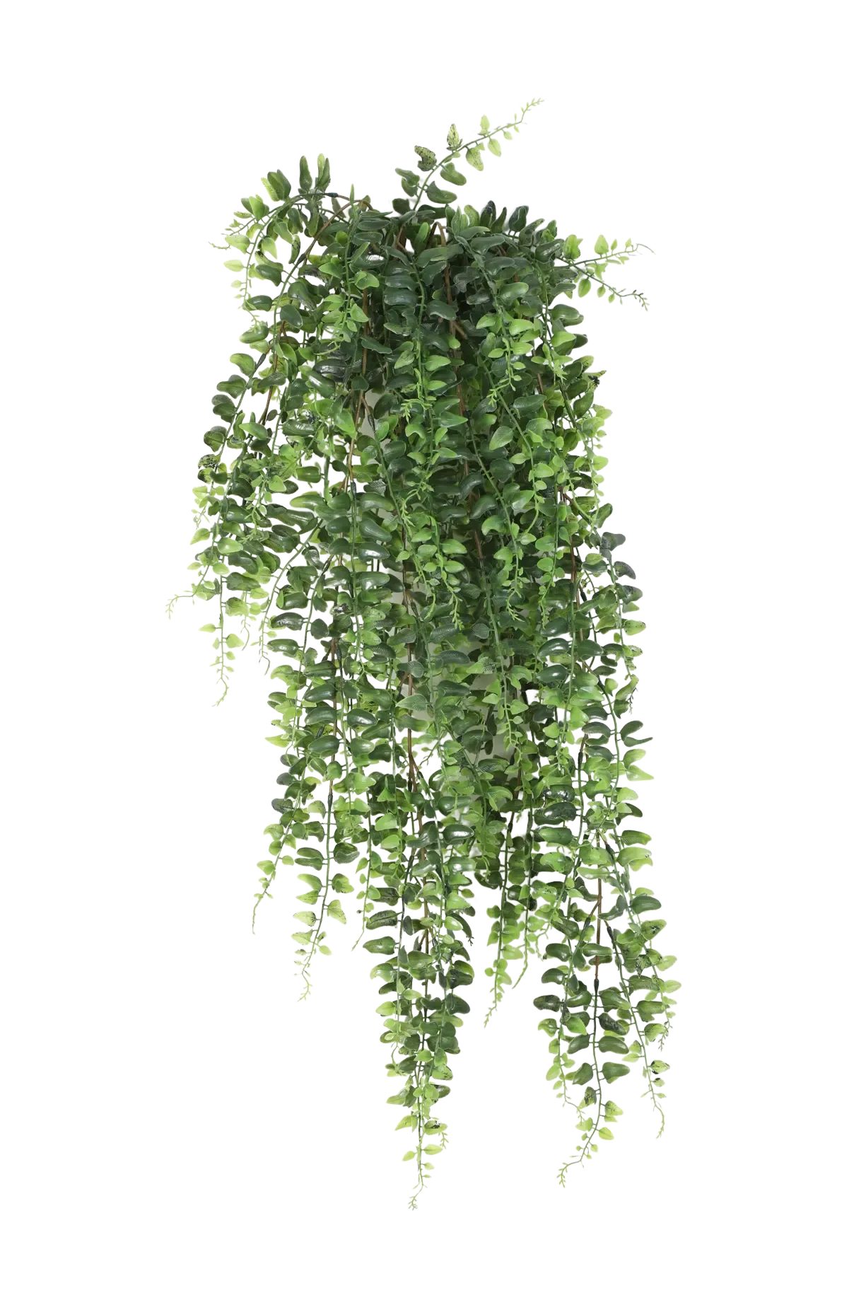 Kunstpflanze Künstlicher Schwertfarn - Elisabeth, 75 cm, aplanta