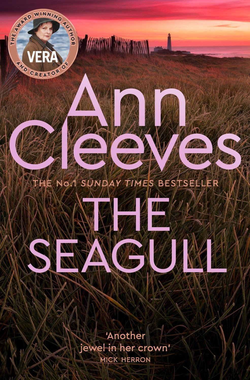 The Seagull / Ann Cleeves
