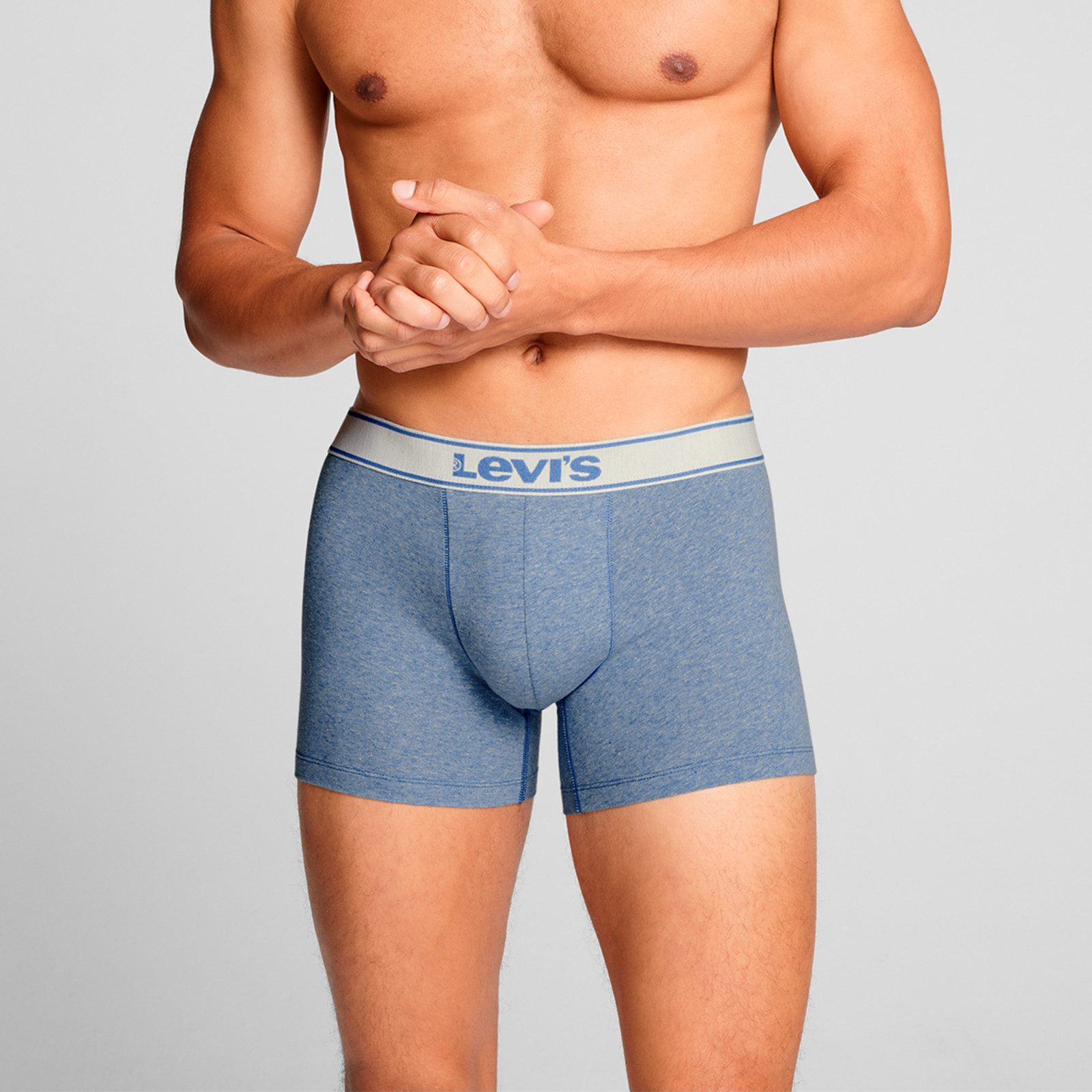 Levi's® Boxer 2er Pack Boxer Briefs (2-St., 2 Stück) mit eingewebten Logo