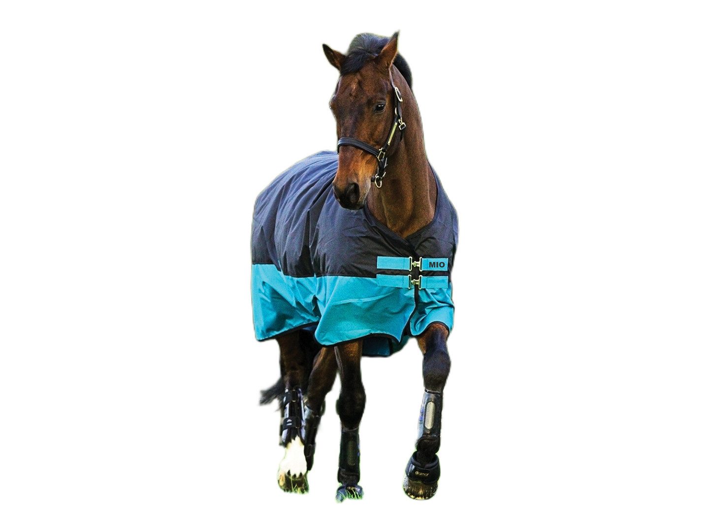 Horseware Ausreitdecke Outdoordecke Mio Turnout Lite 0g